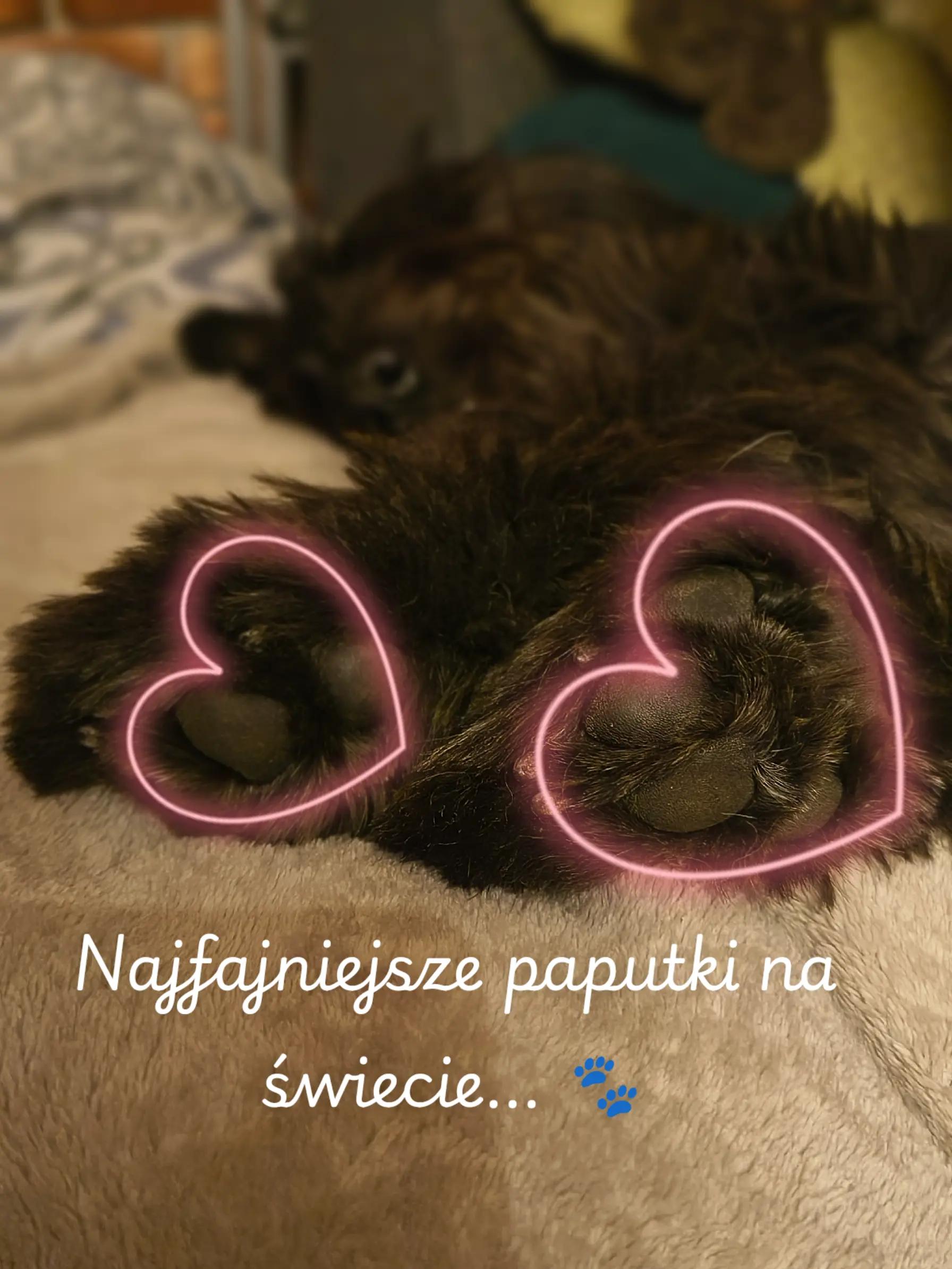 @tadelkaispółka