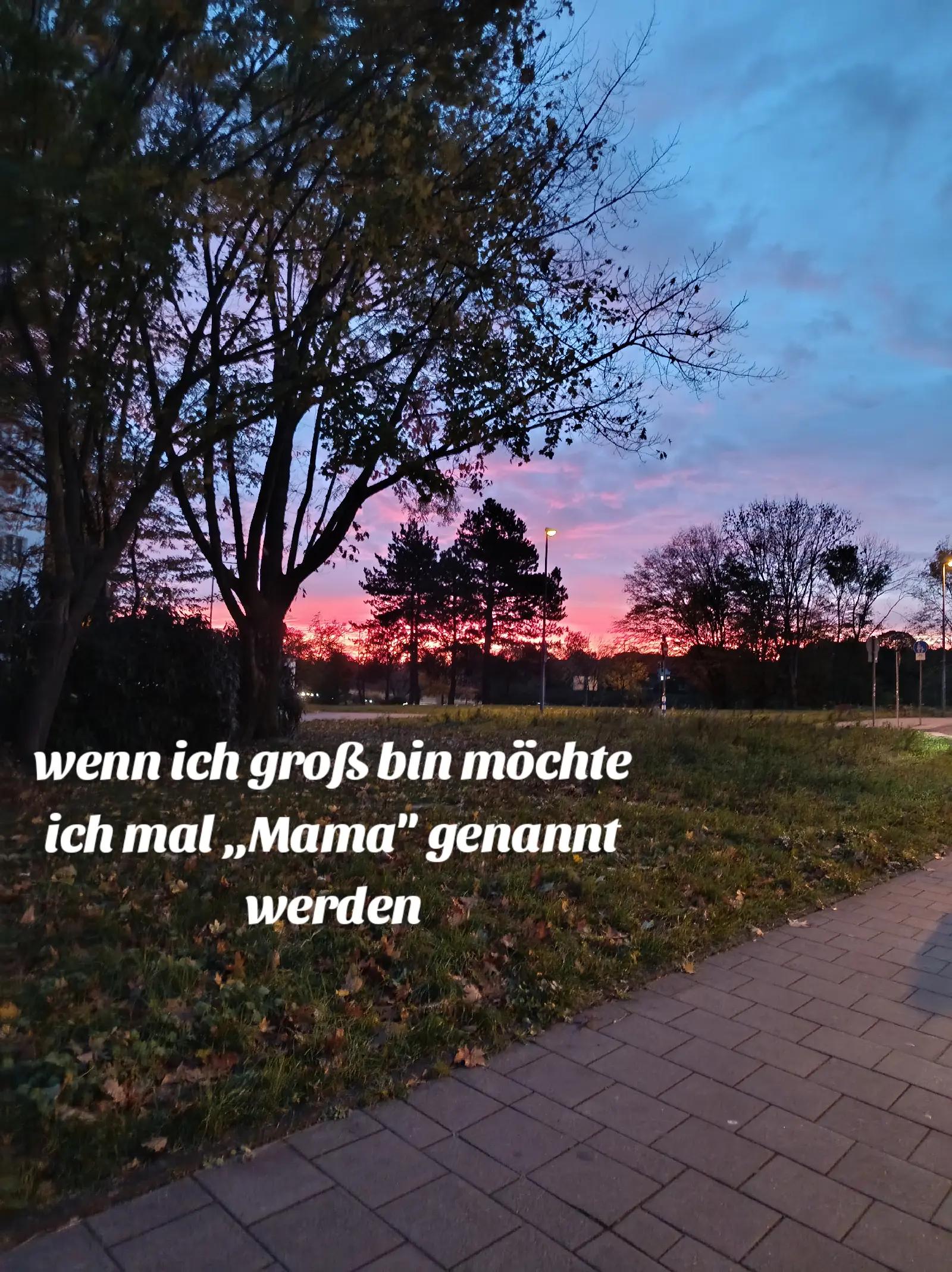 @🌸 αмιяα🌸