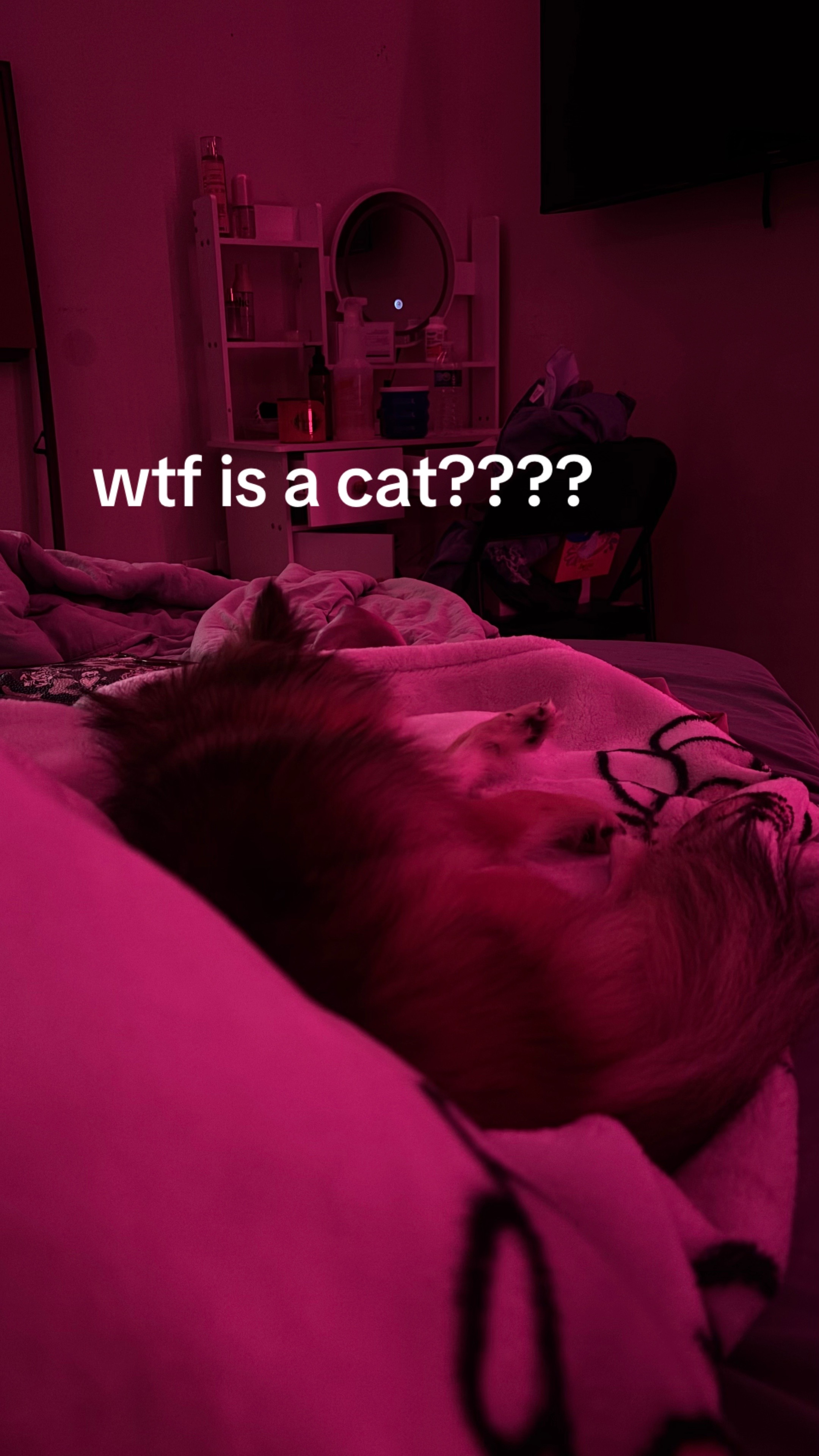 @coldwetbasementnoodles04