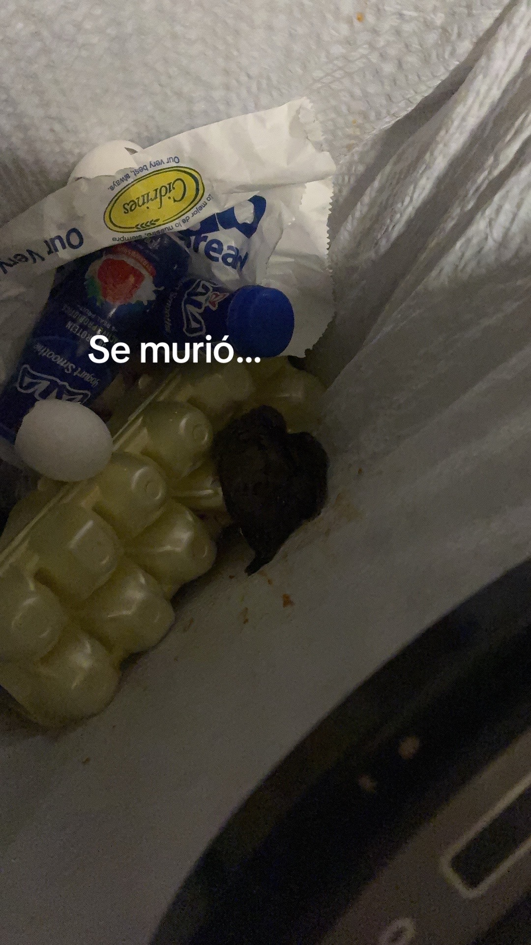 @🥀Neymar YNR🥀