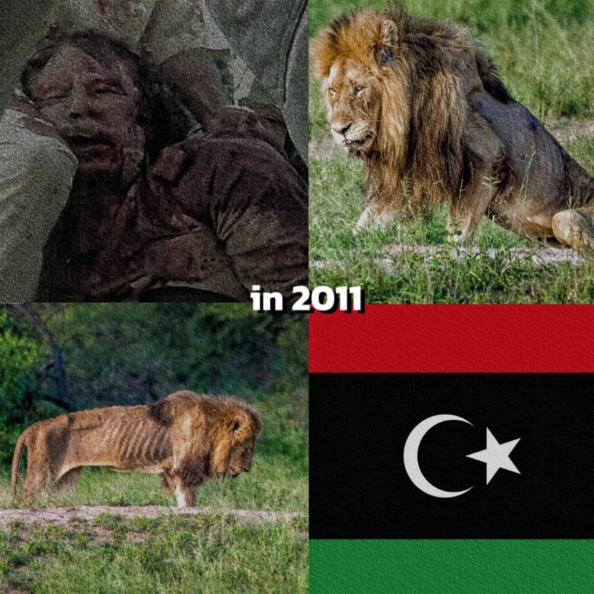 @محمد الزايدي