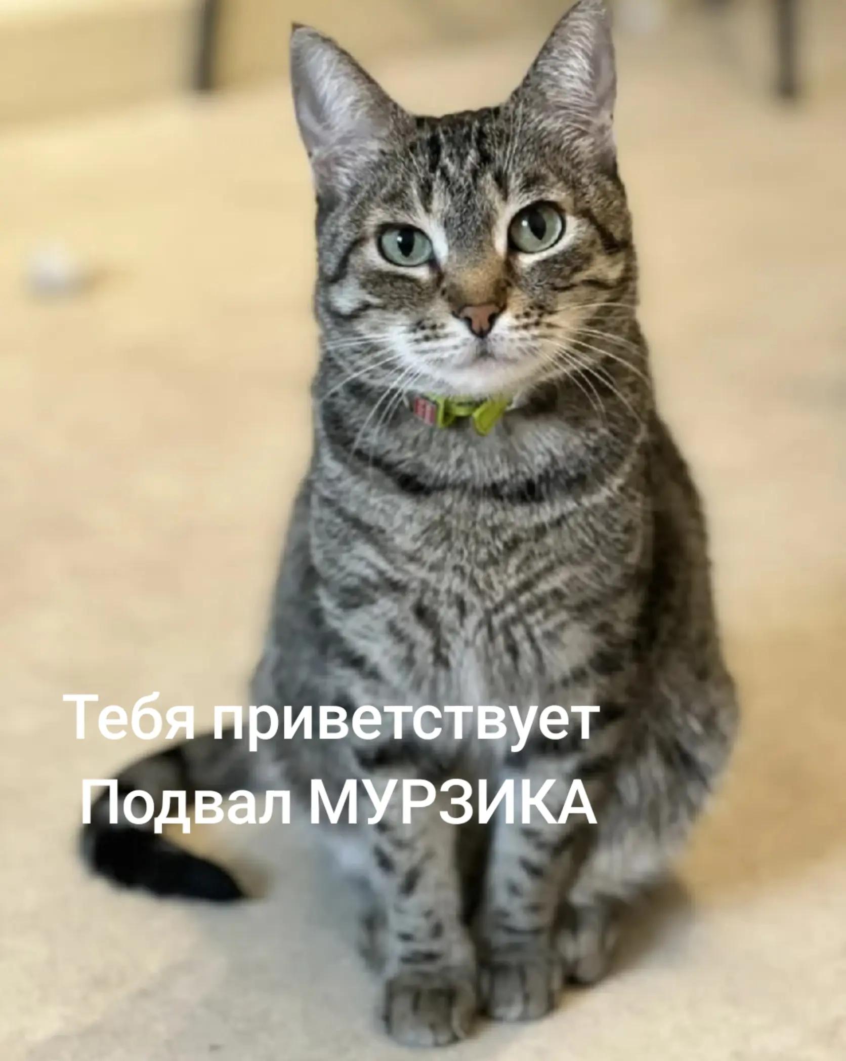 @Подвал МУРЗИКА