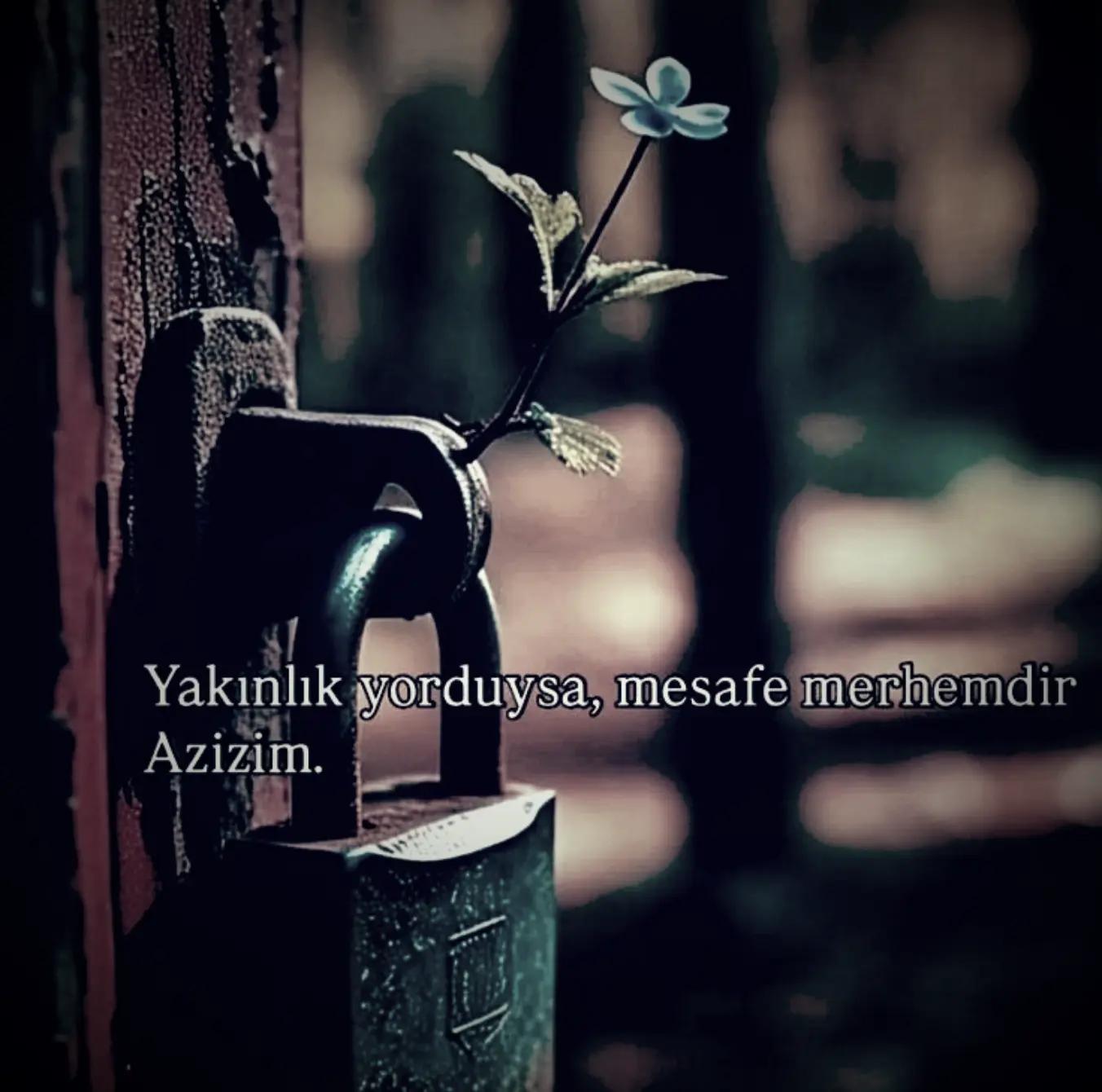 @Yorgun_01