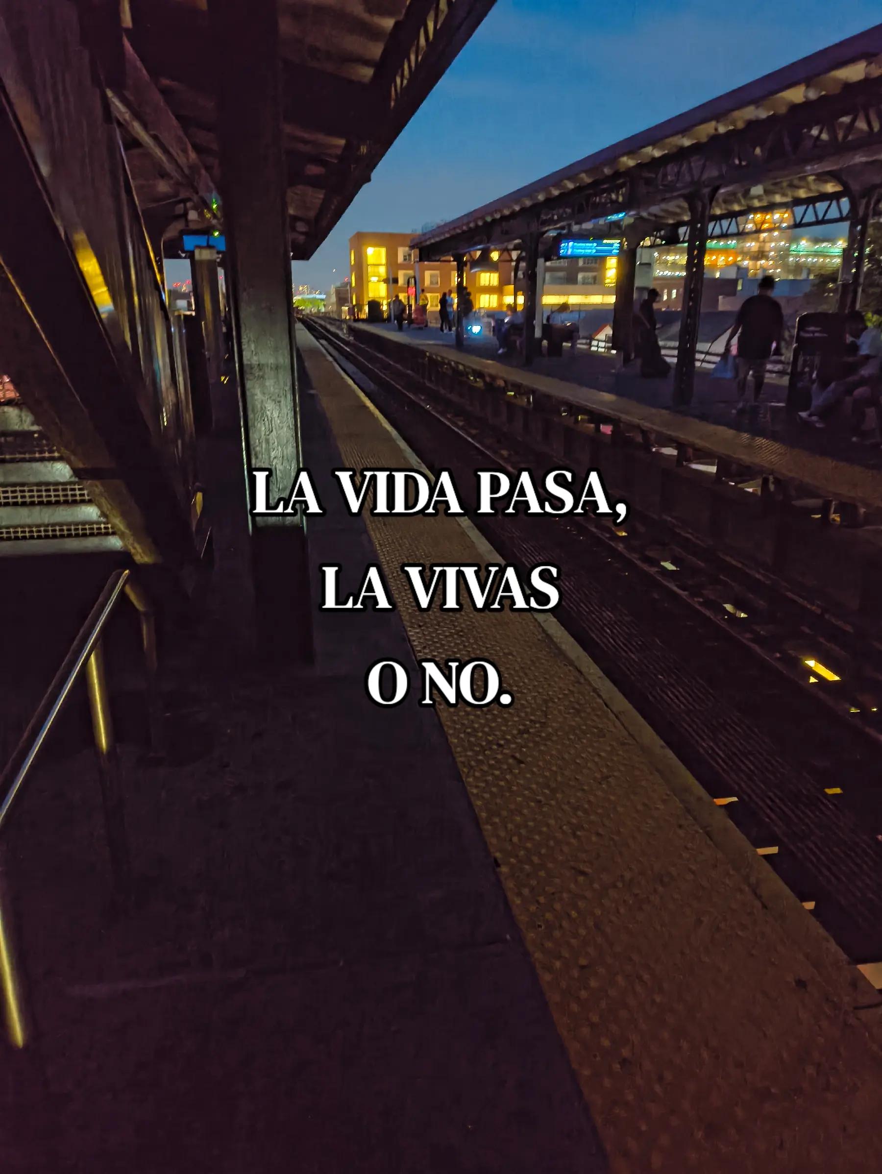 @Cris_Frases