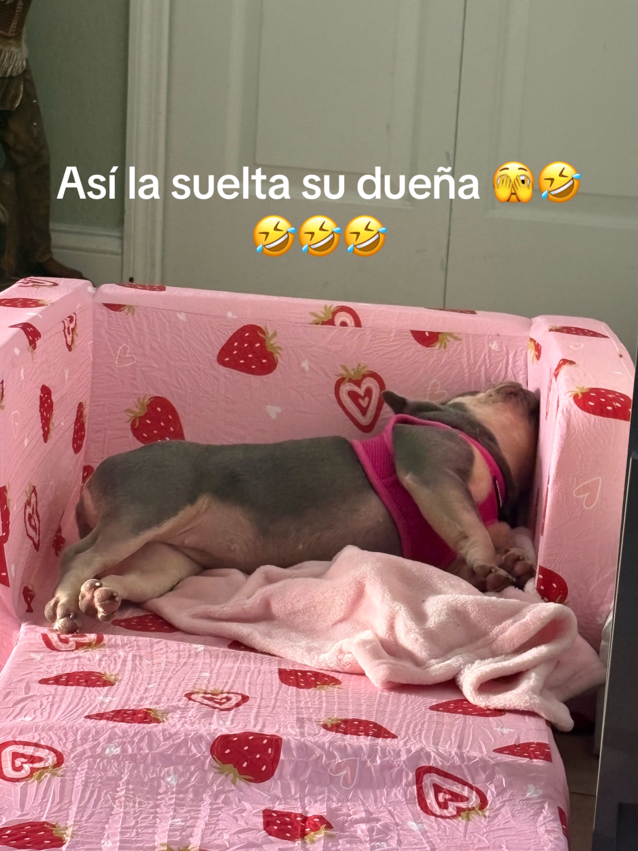 @Sahyly
