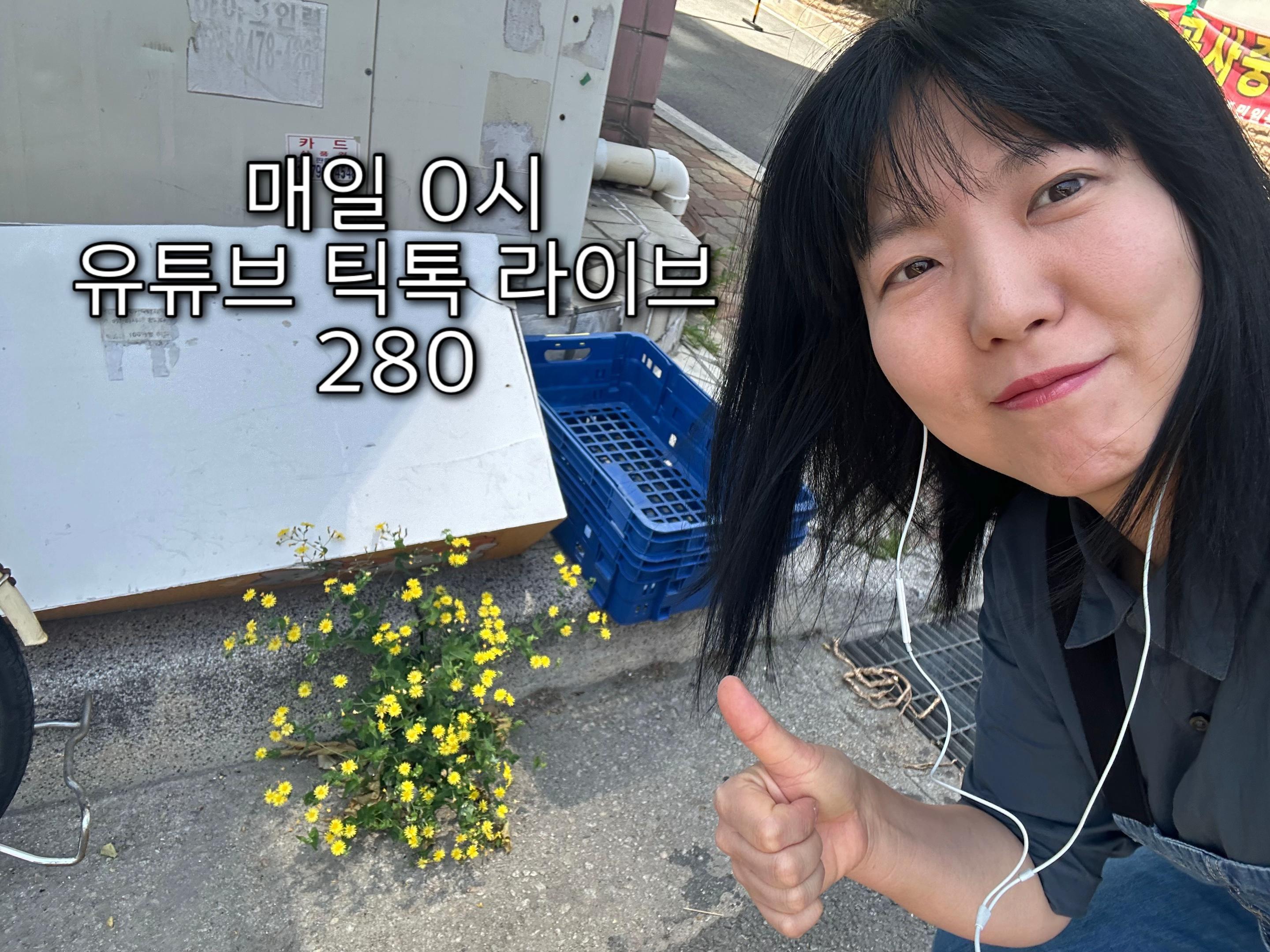 @신혜련 SHR
