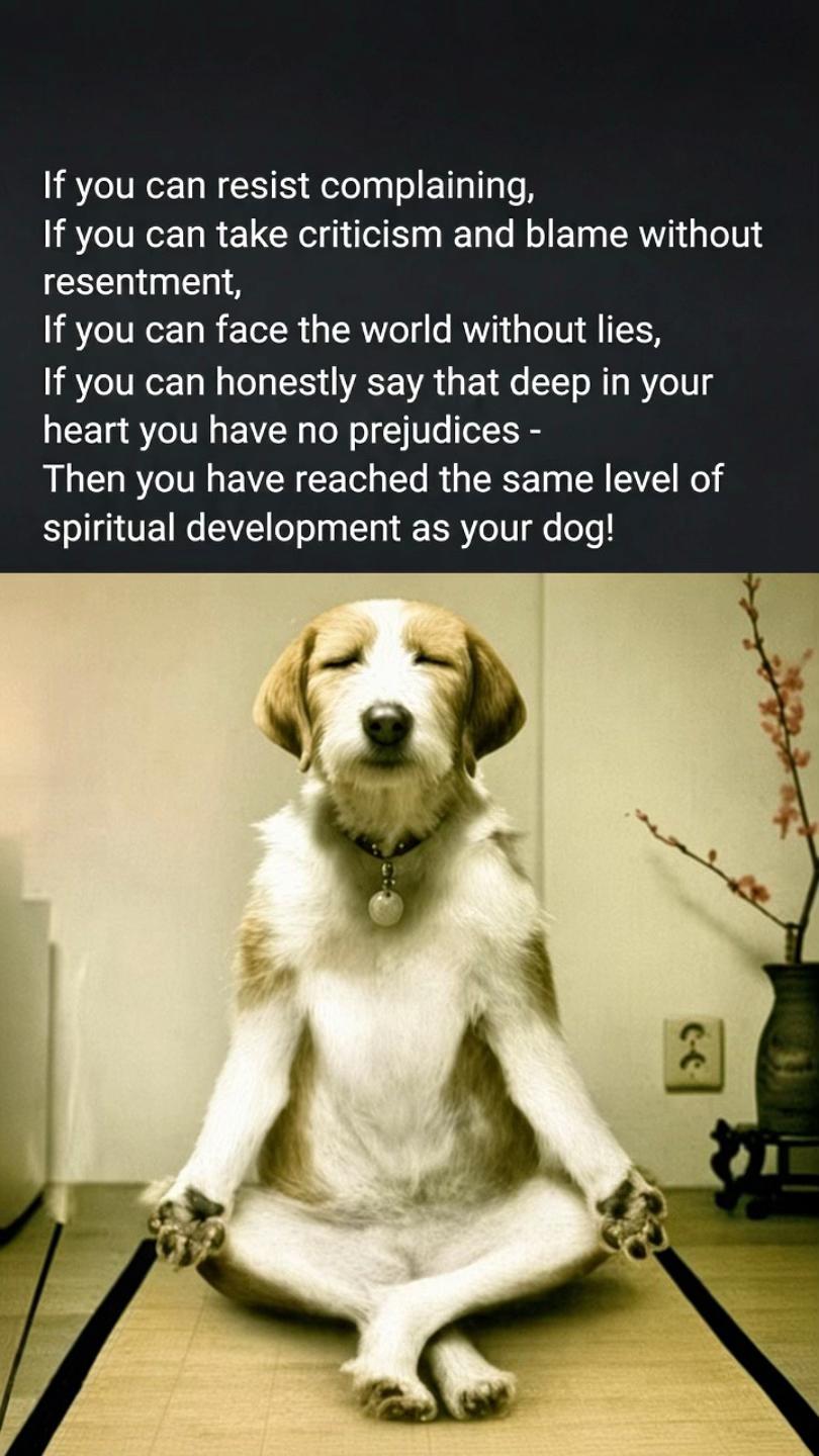 @ZenSationalSoul