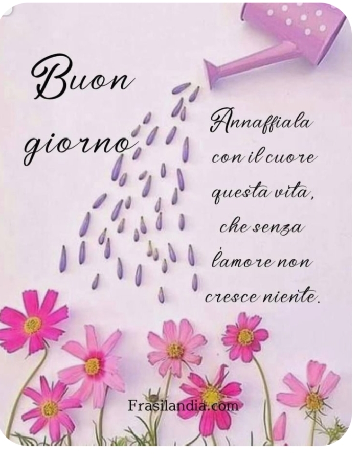 @Patrizia siesto