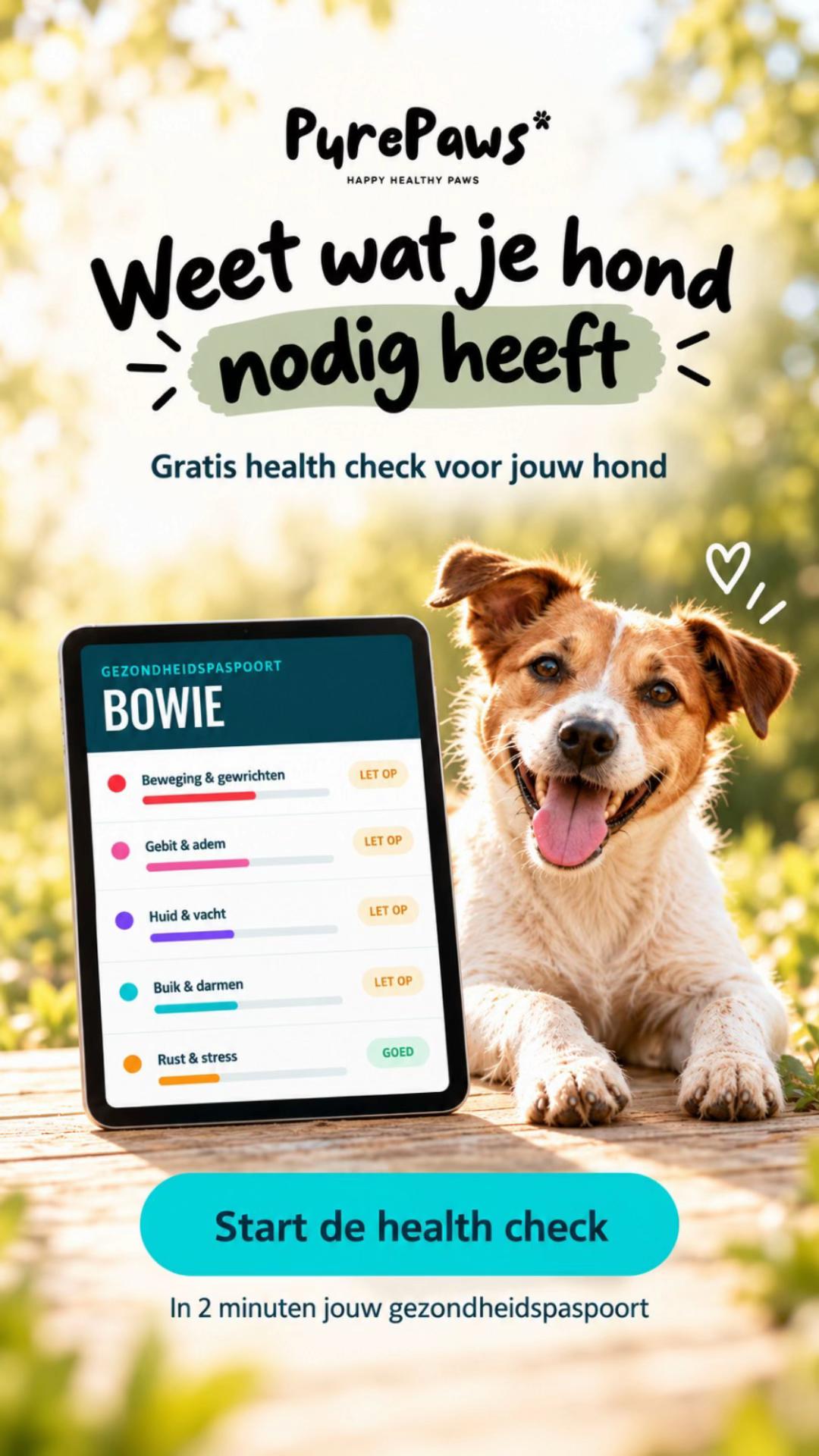 @Pure Paws
