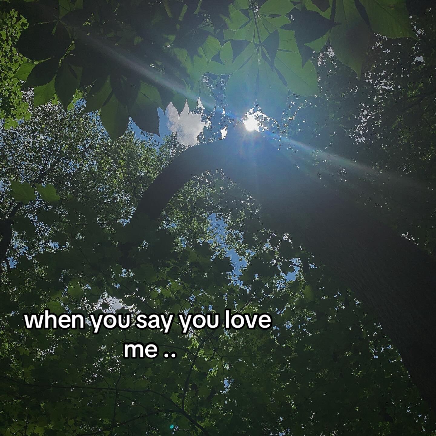 @lil lyssa