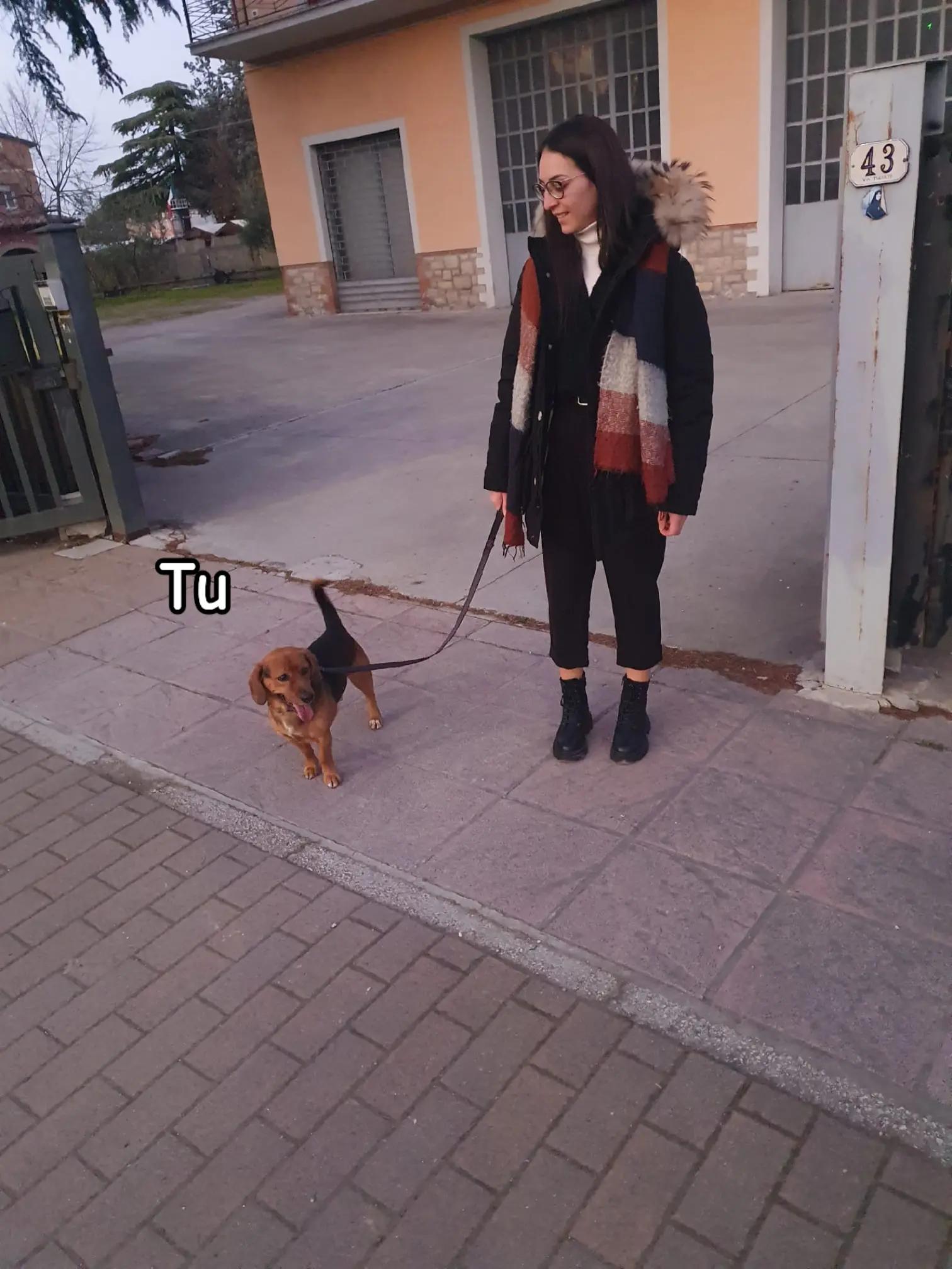 @Rosa Muraca