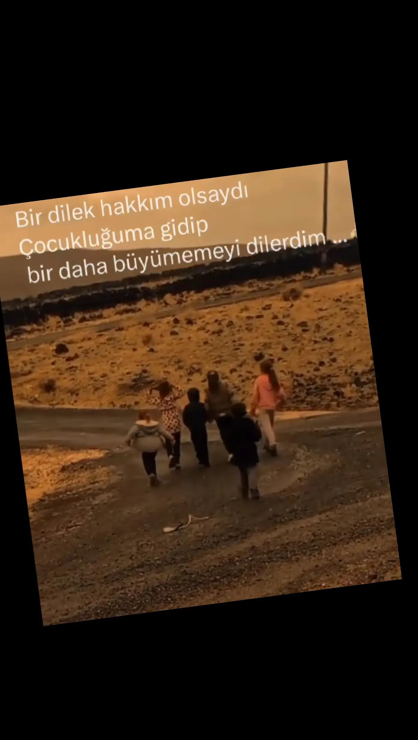 @papatya