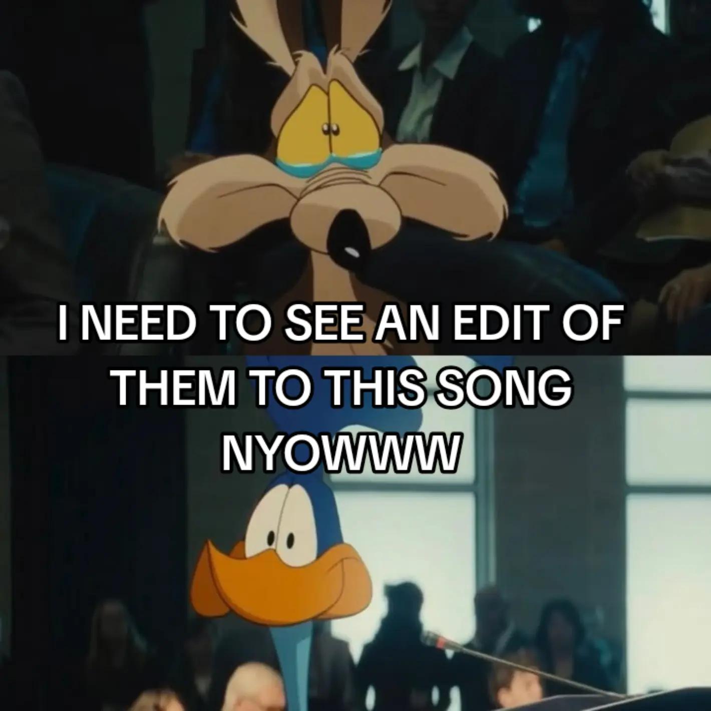 @mrm_rauder