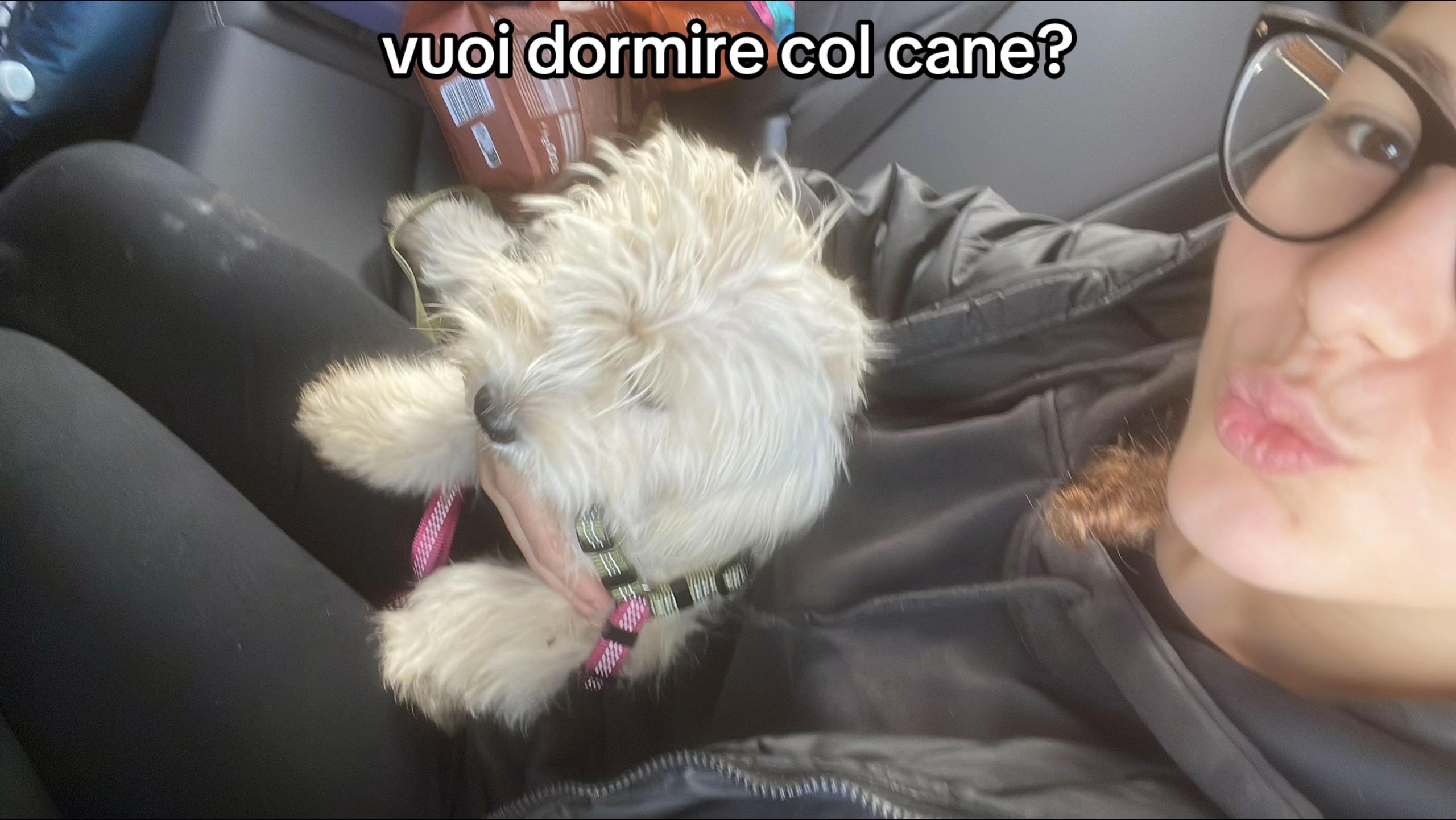 @stella