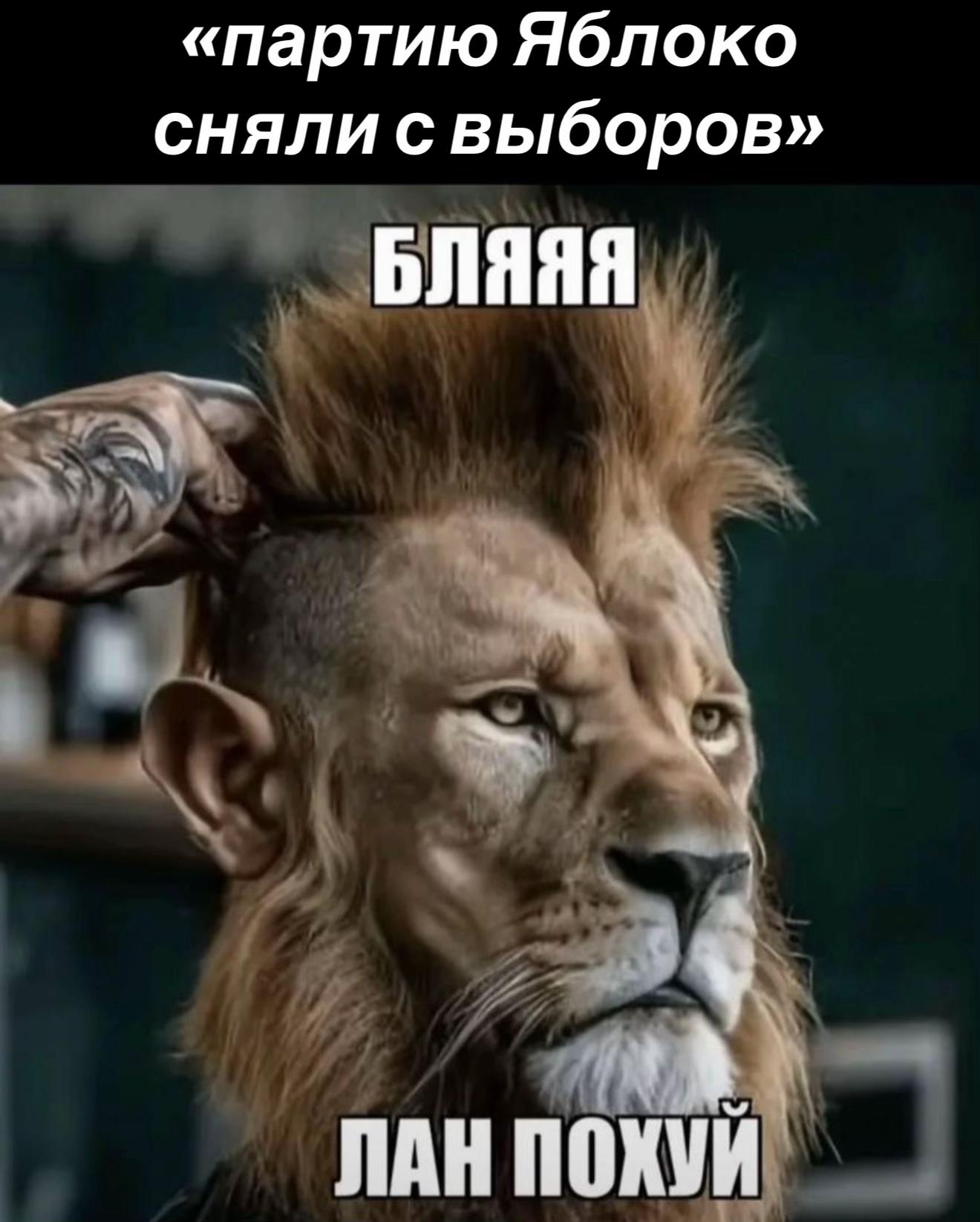 @меамура