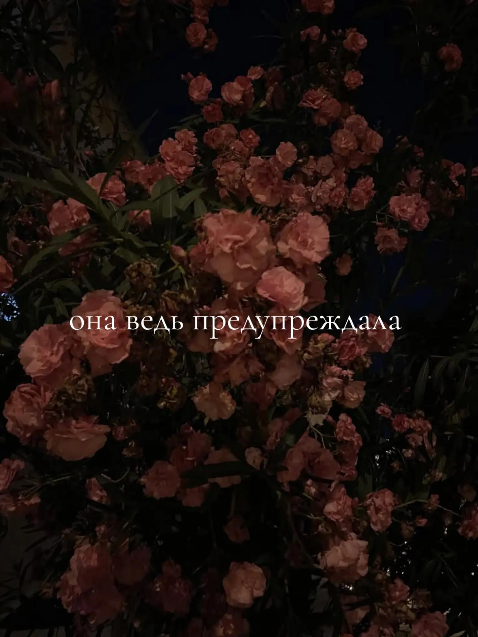@здесь грустно