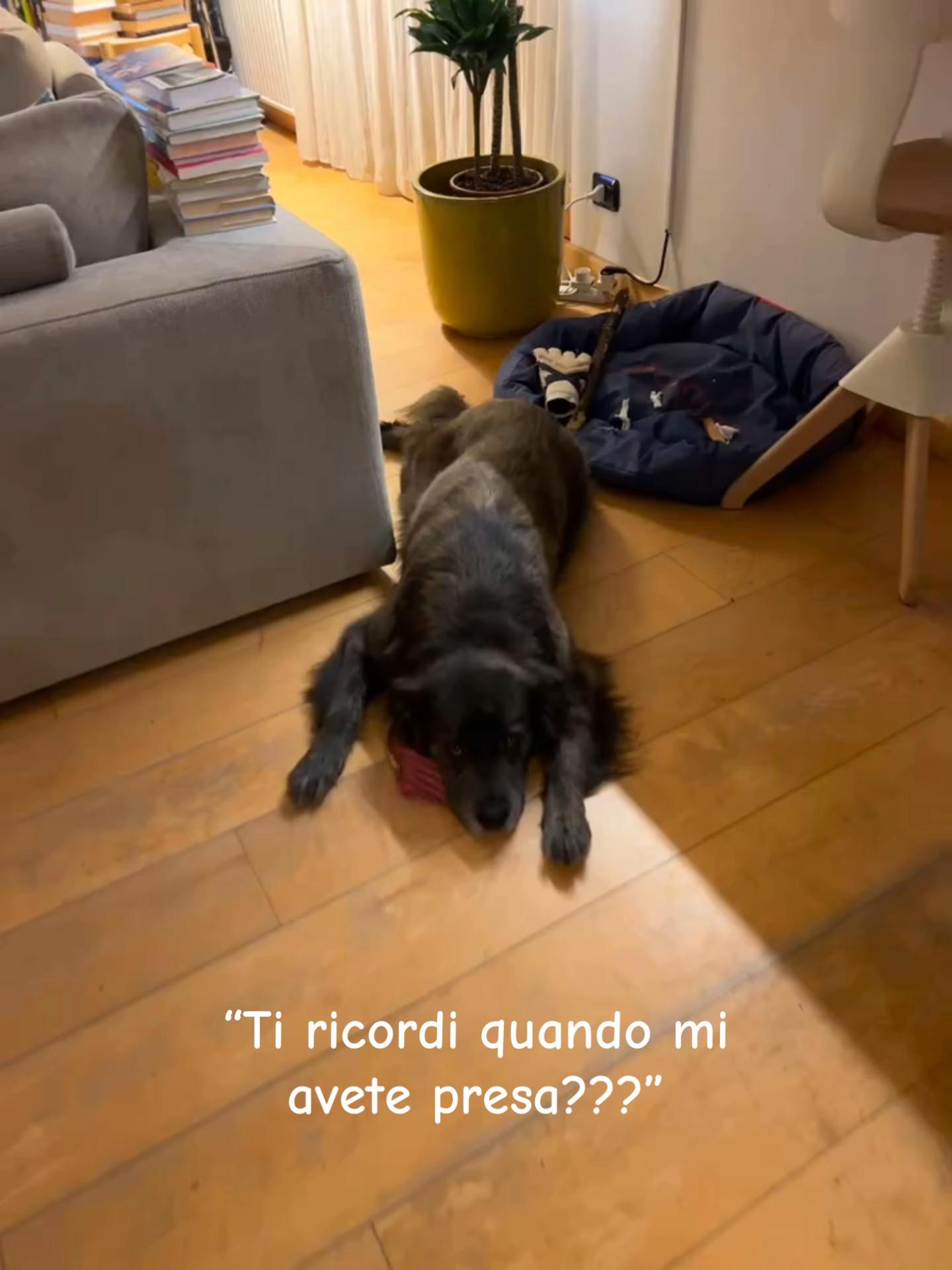 @marta
