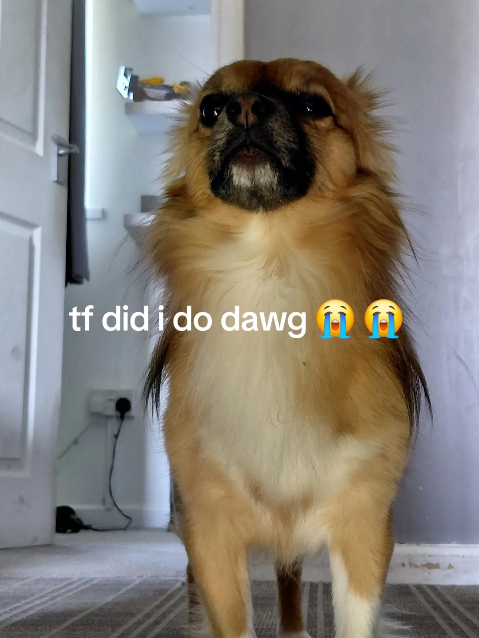 @wirezy