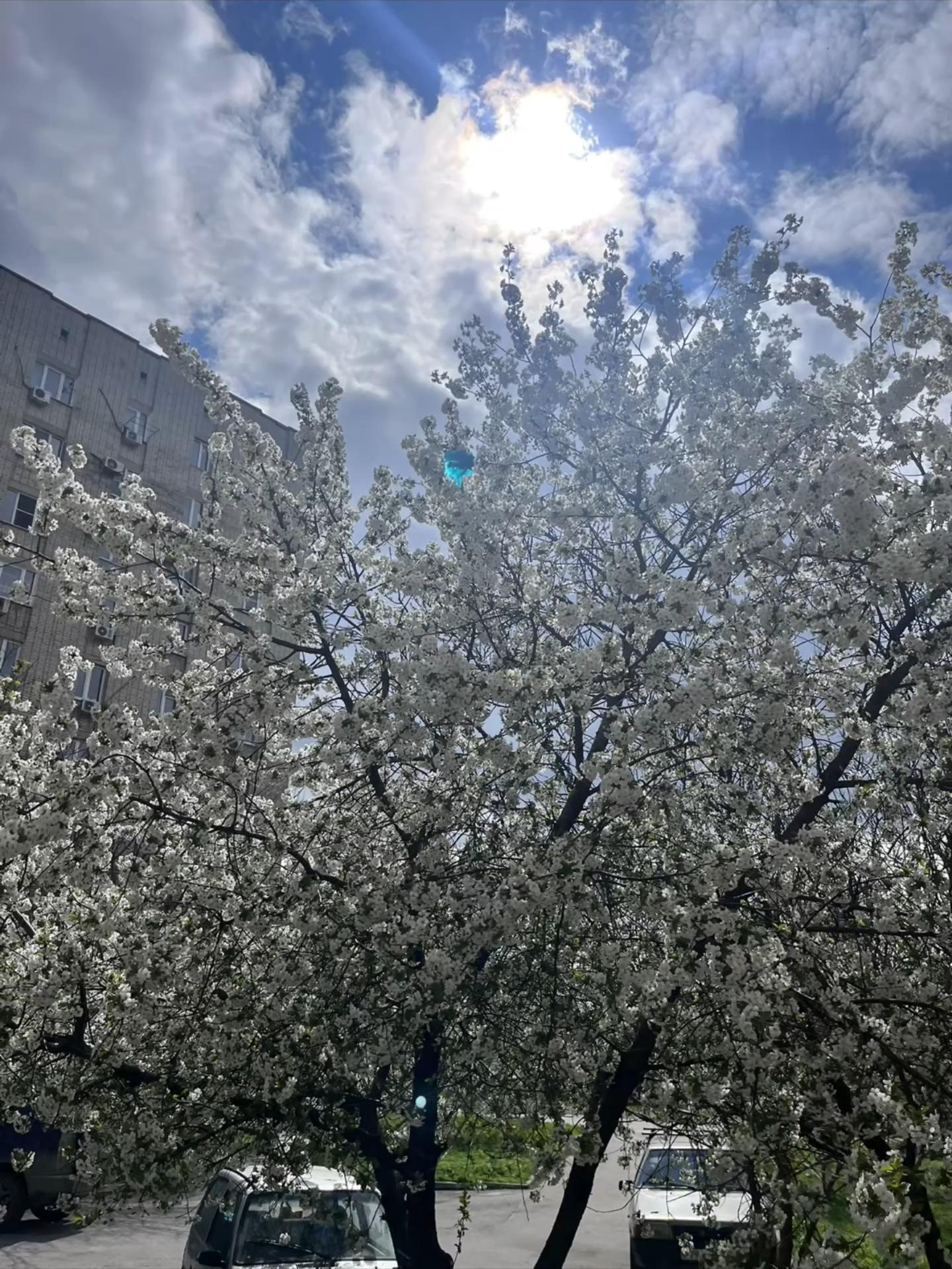 @дерникс