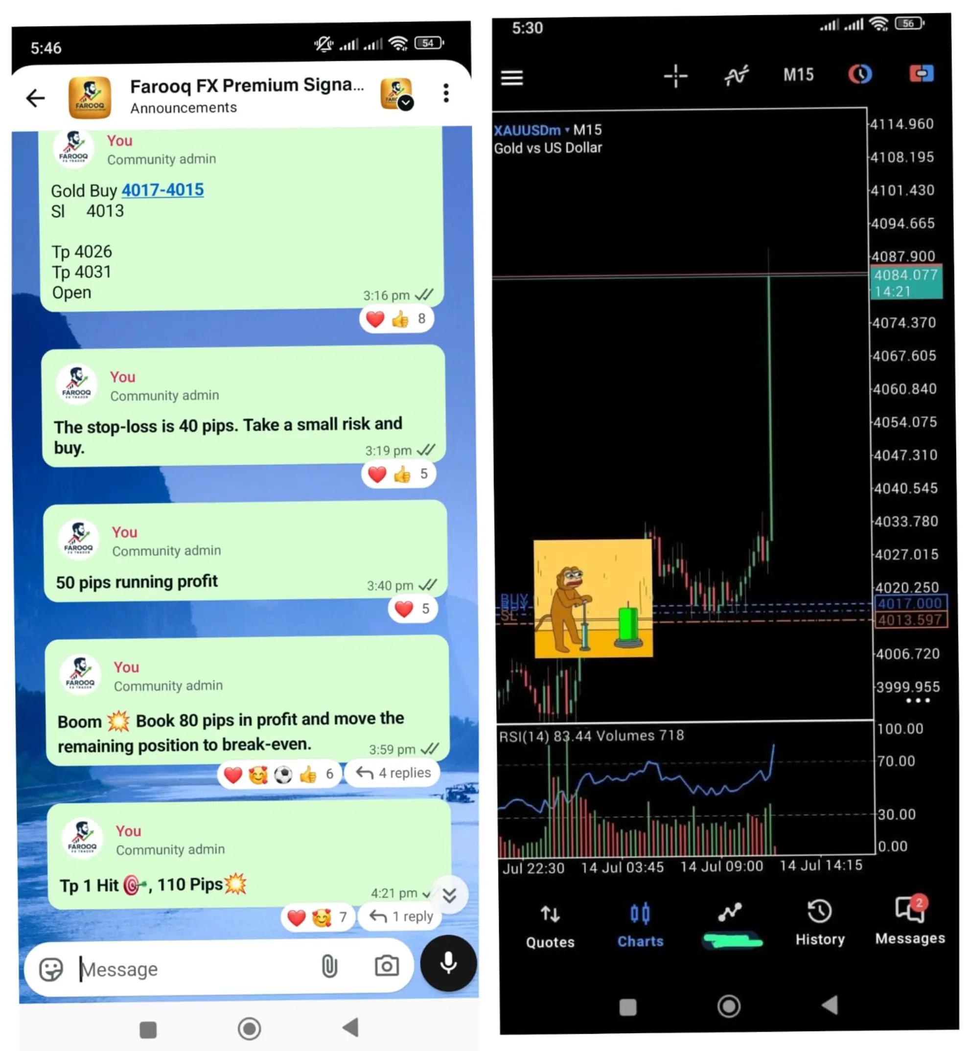 @Farooq FX Trader