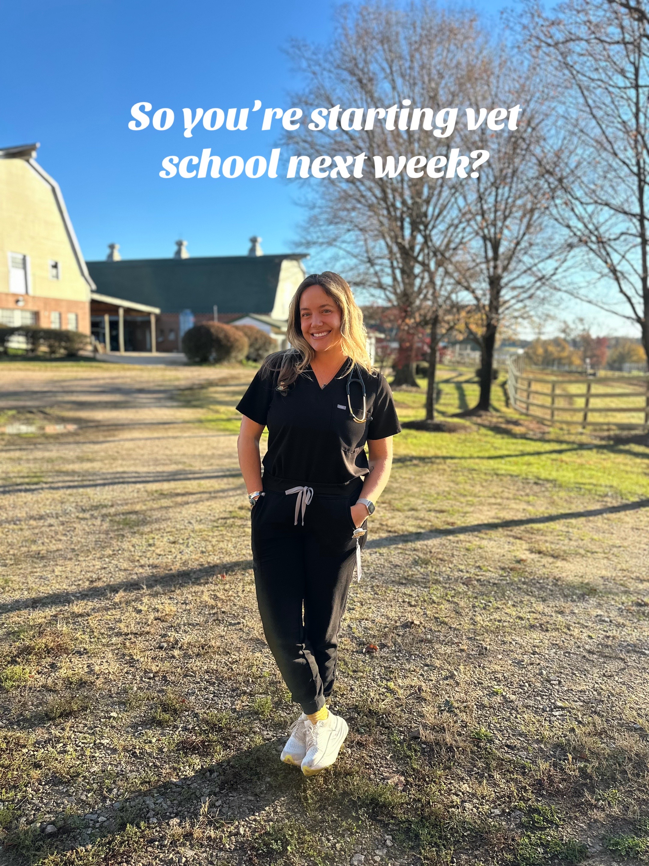 @heyamigainvetschool