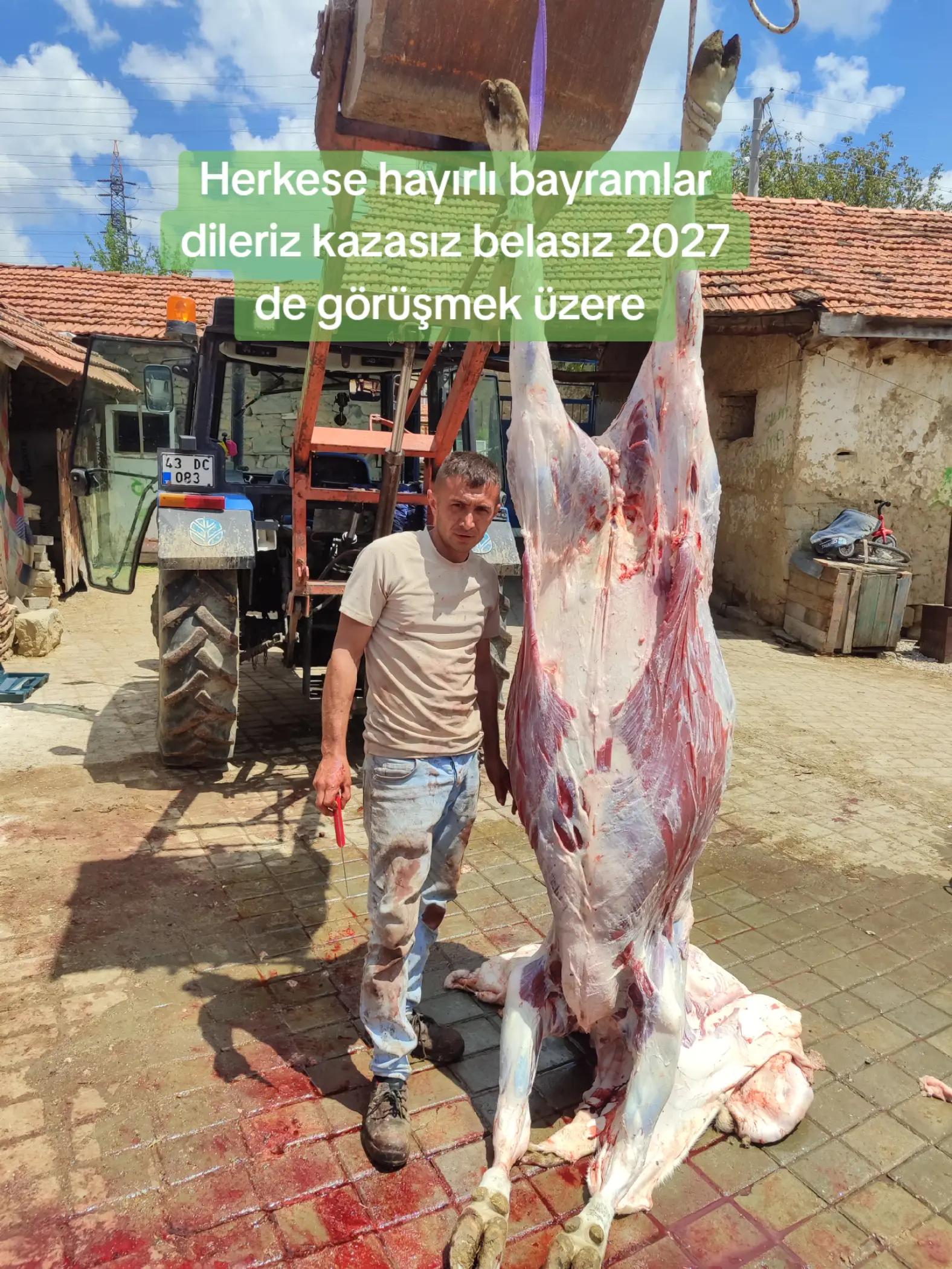 @Muzaffer Erden43