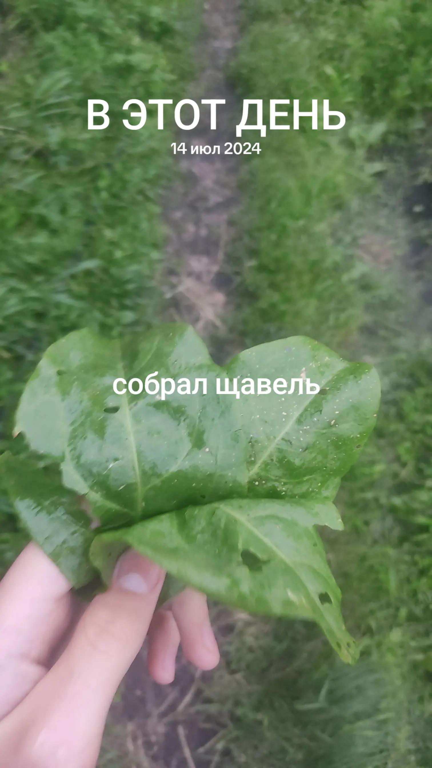 @попотряс маршмелоу 2🇰🇿🇰🇿