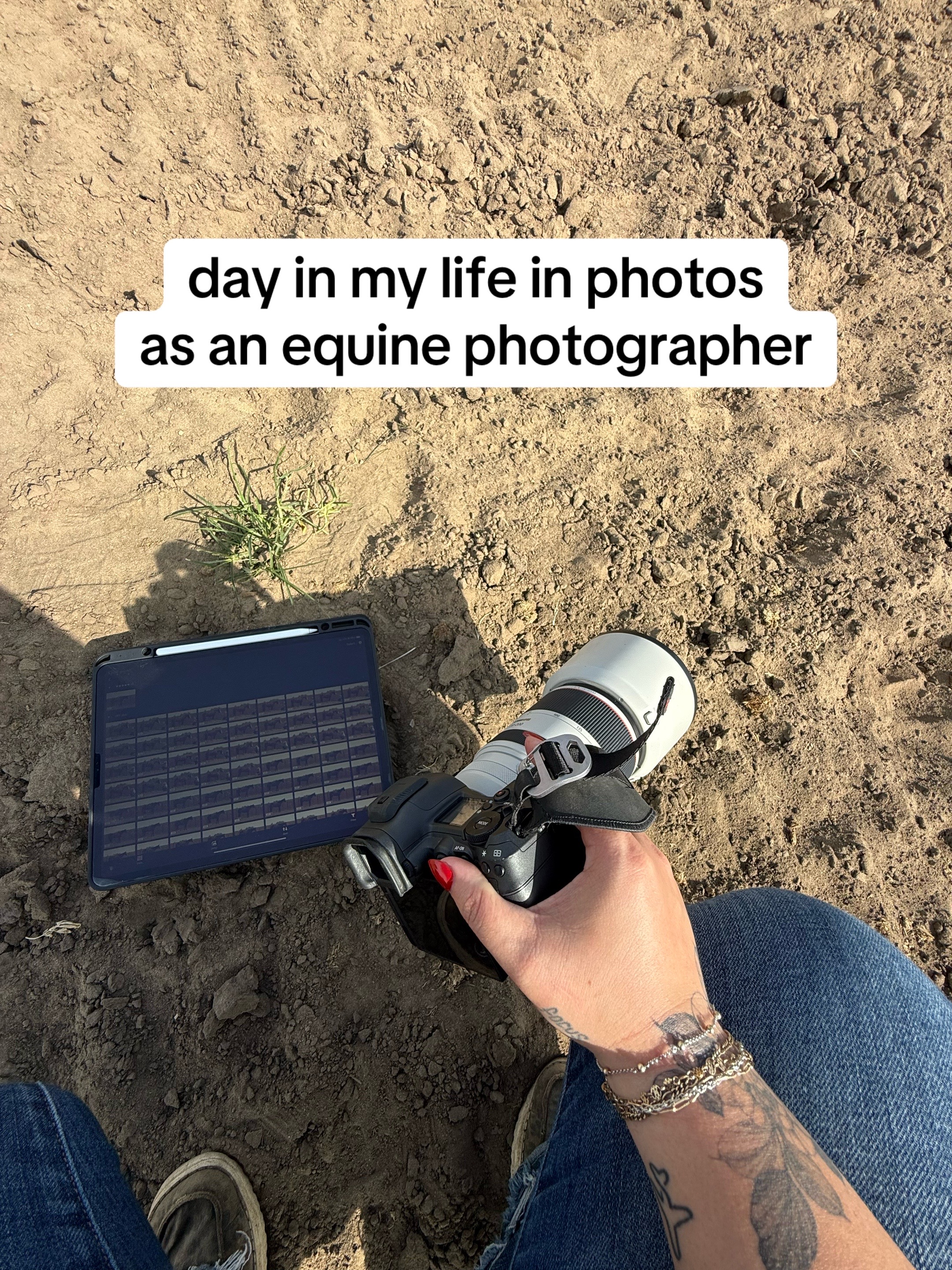 @Tisha 📸🦄 Equestrian Photog