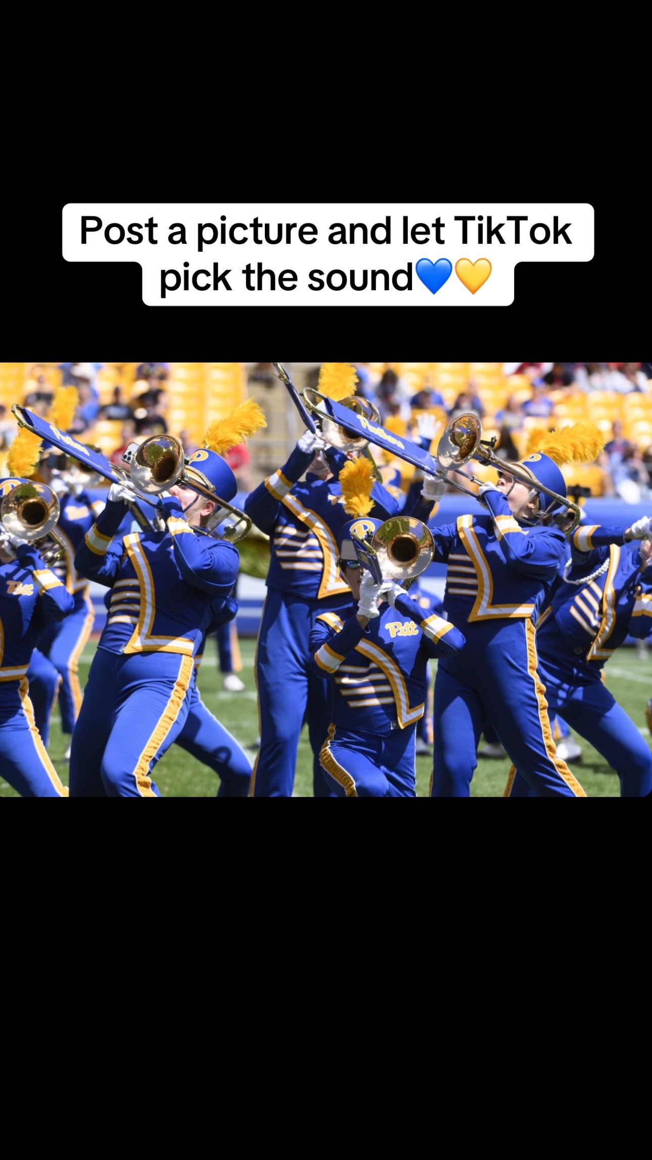 @Pitt Band