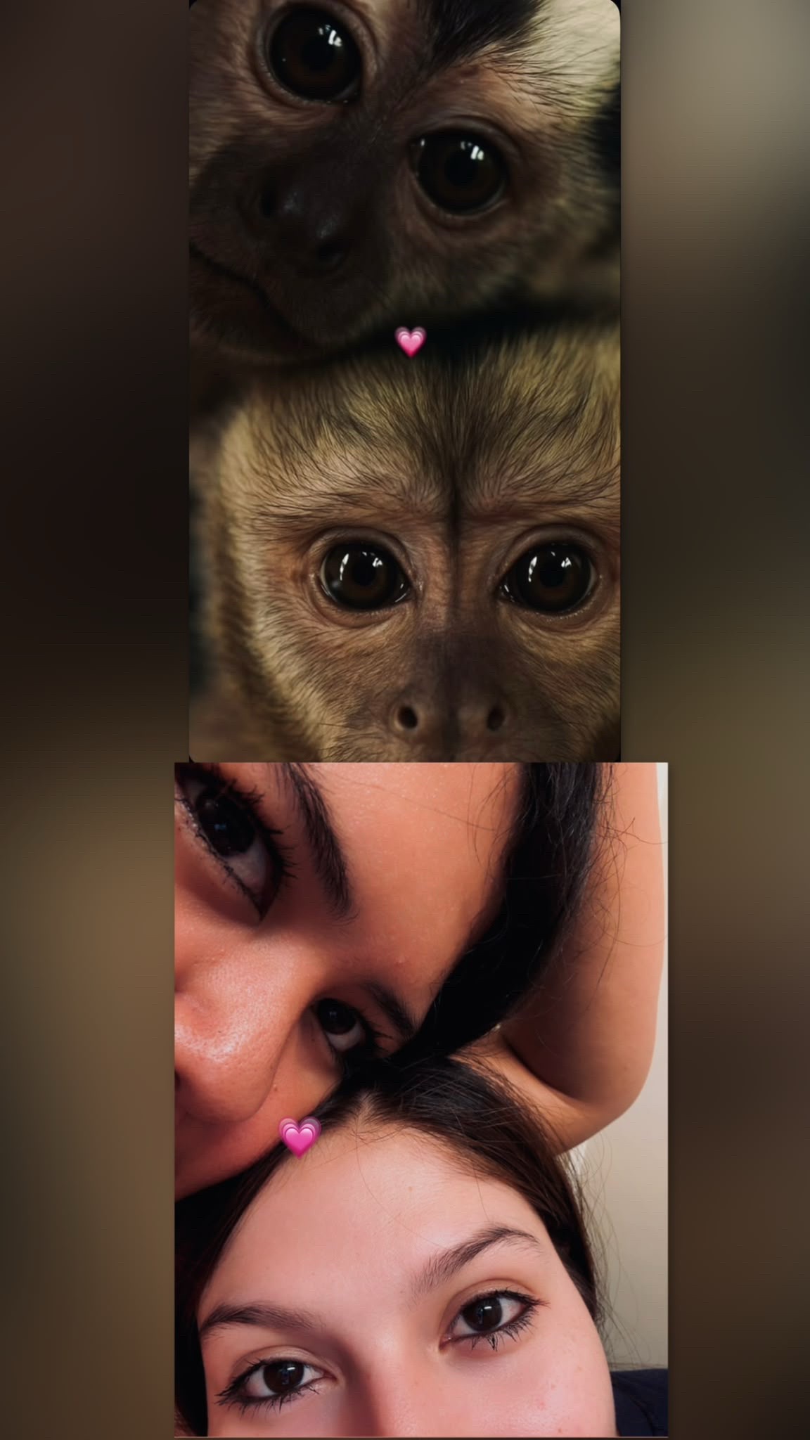 @Has_Diaz