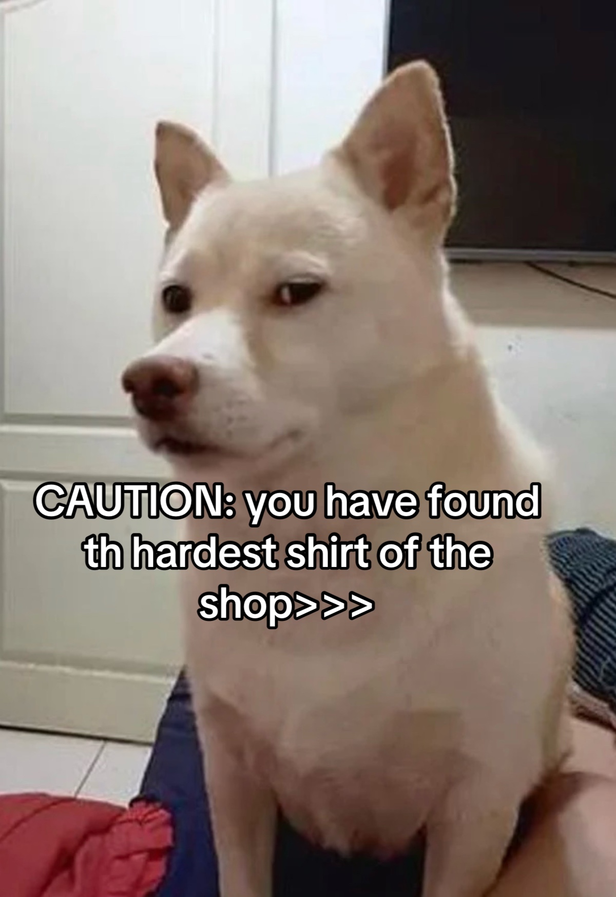 @🐻 Alaska Family Shop 🛍️