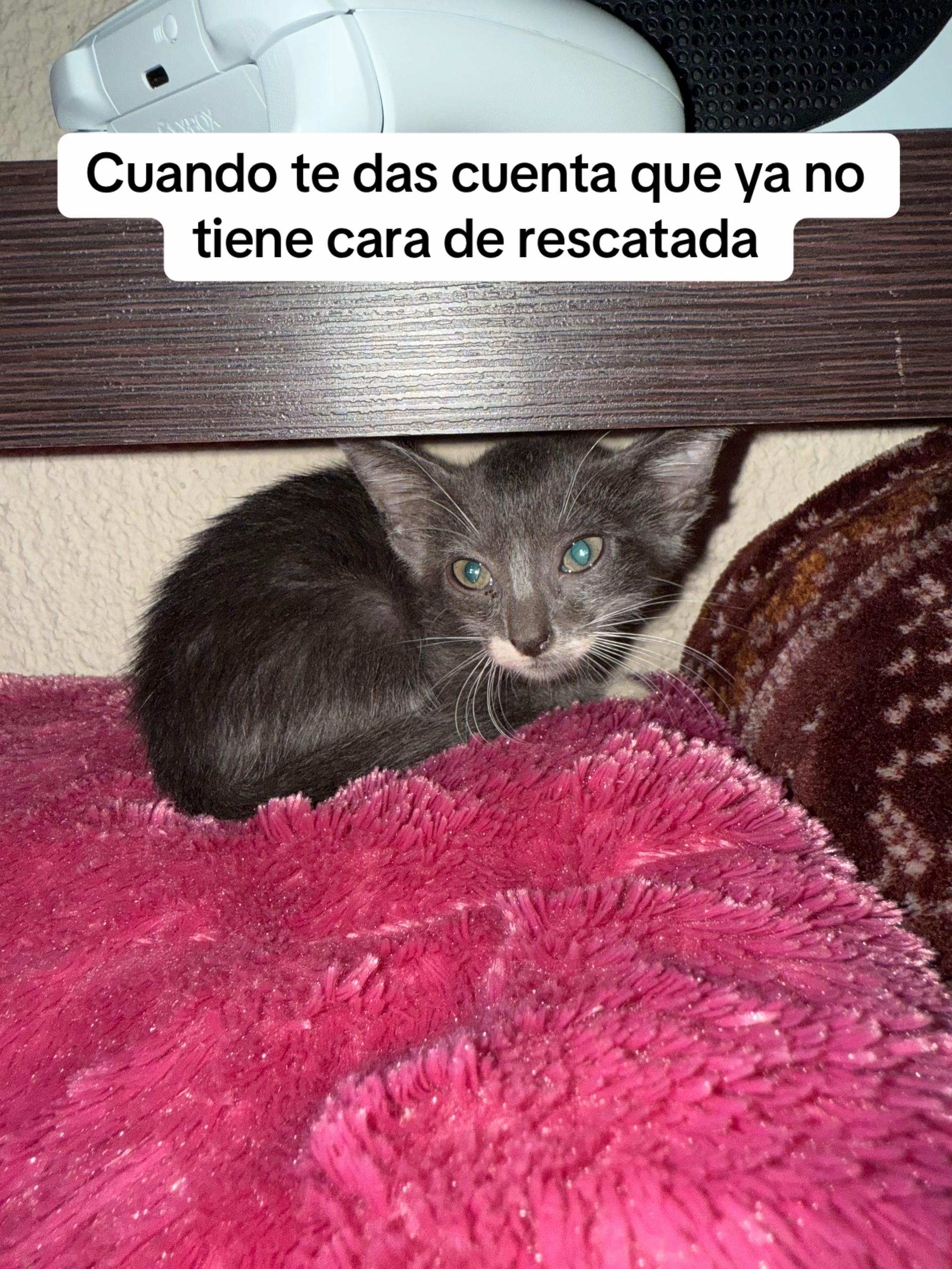 @Ana Blanco Nieto