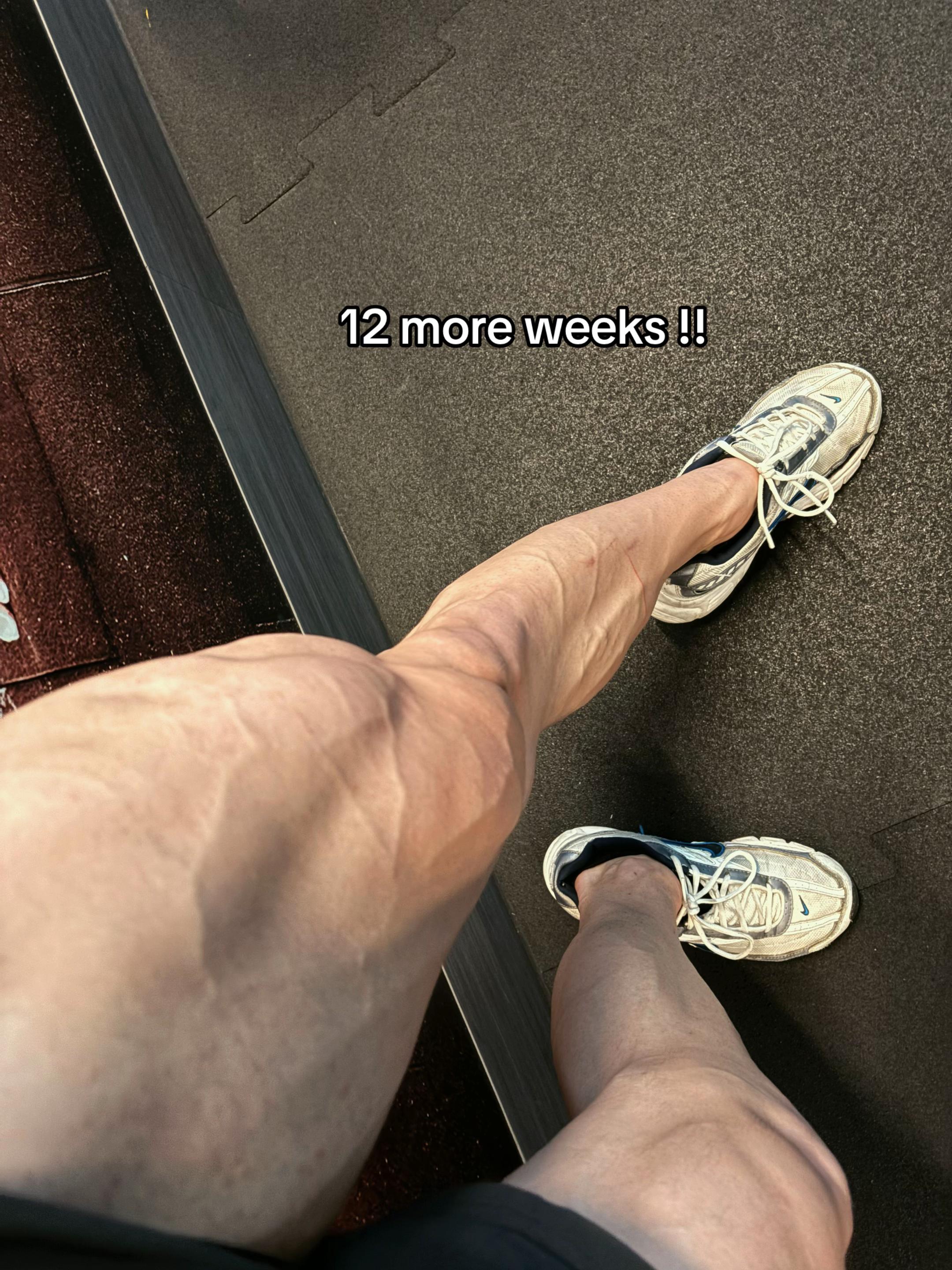 @michaltriceps_13.9cm