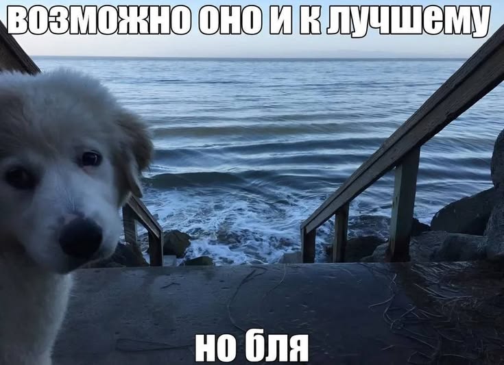 @лупикал