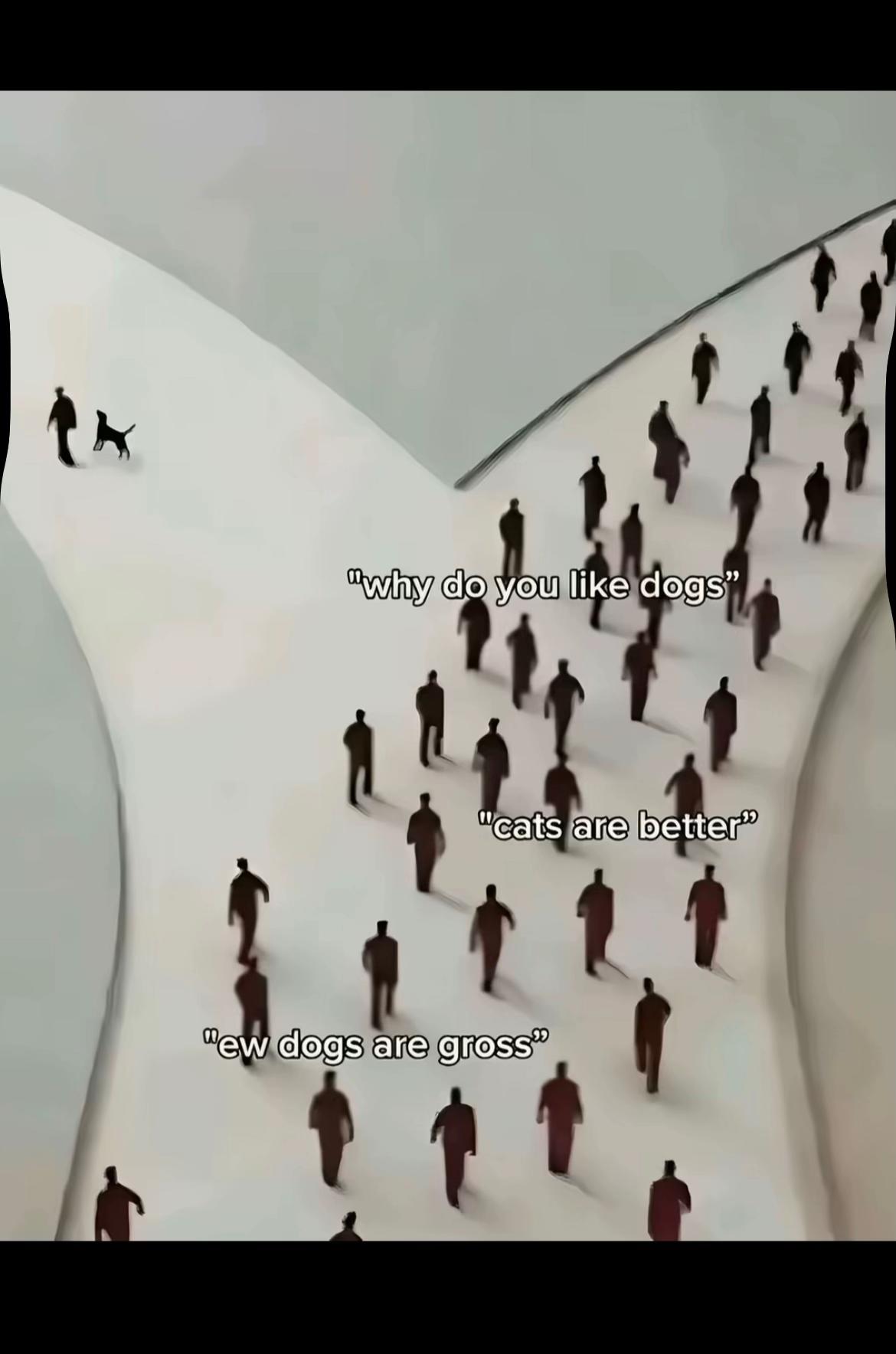 @&laquo;&bull;&raquo;