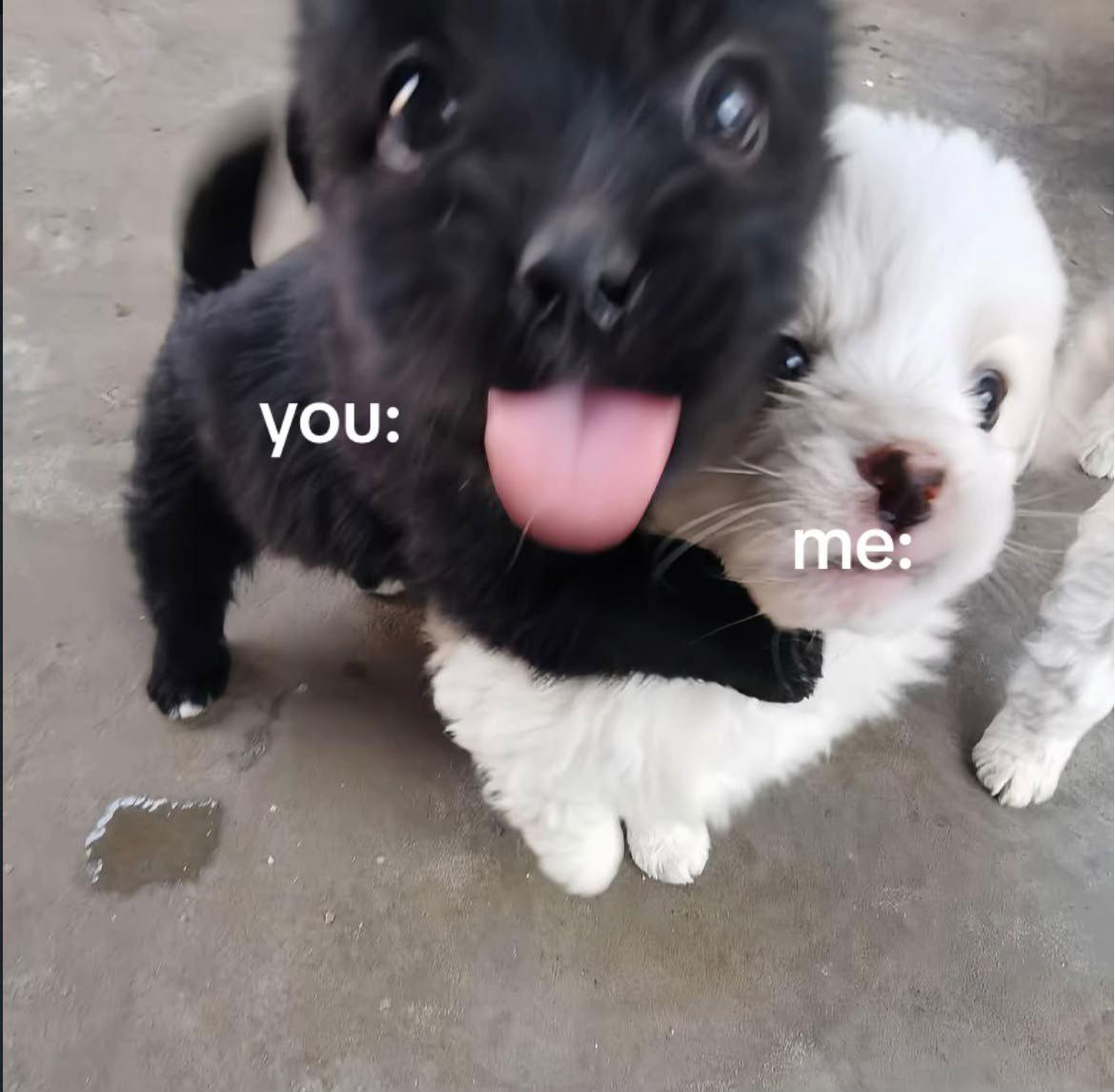 @loL