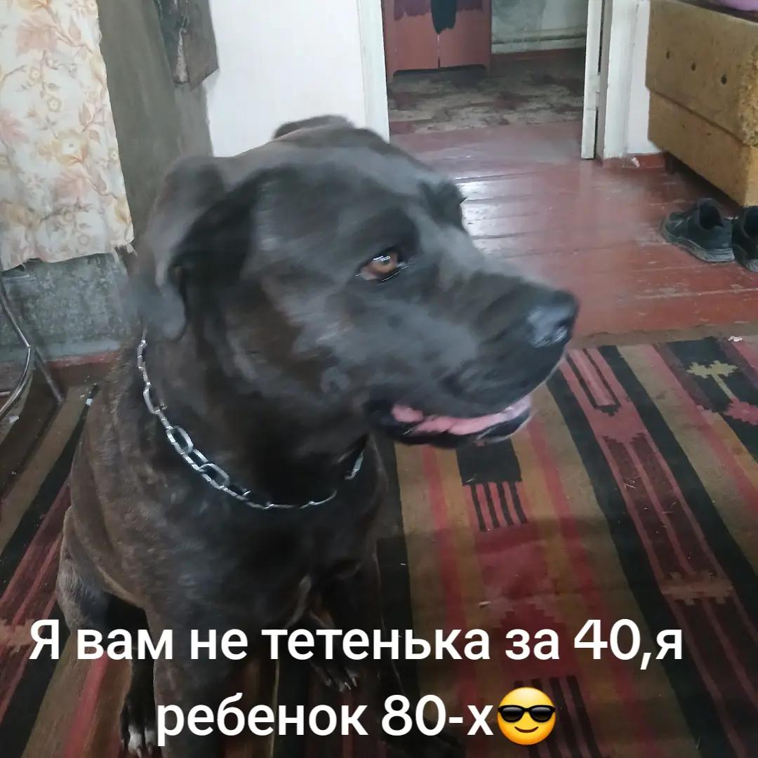 @꧁✞✦ПСИХ✦✞꧂
