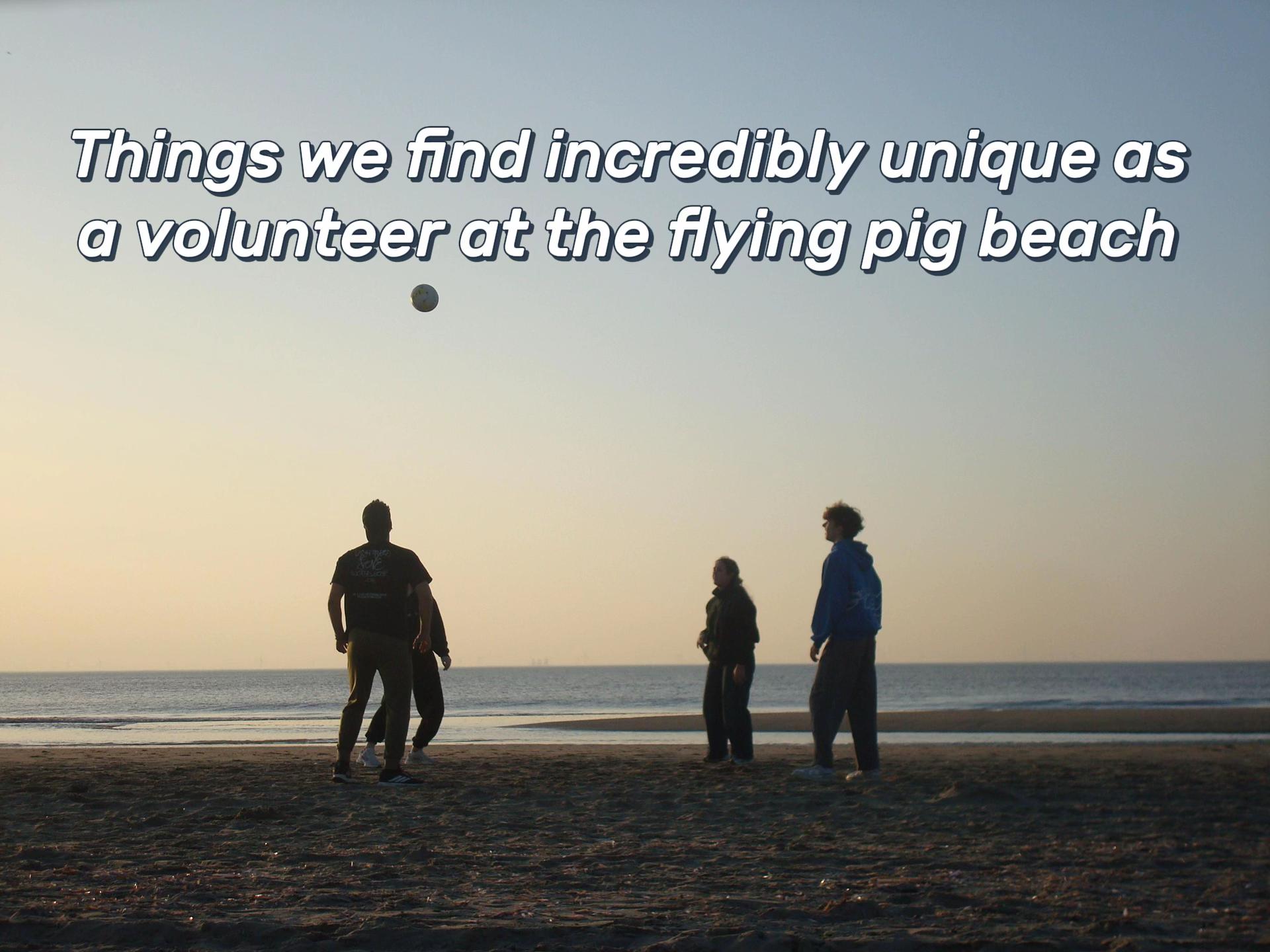 @Flyingpigbeach
