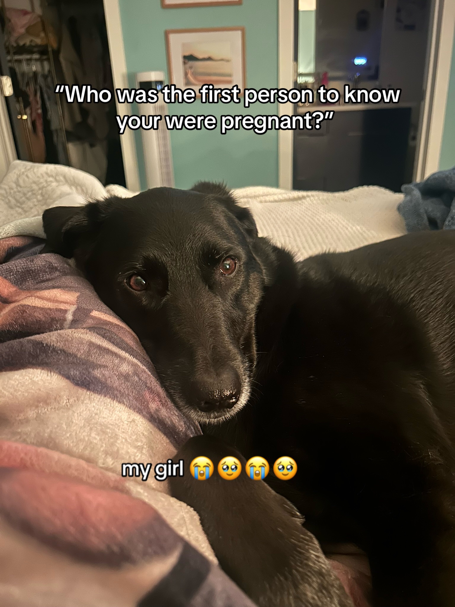 @Jo