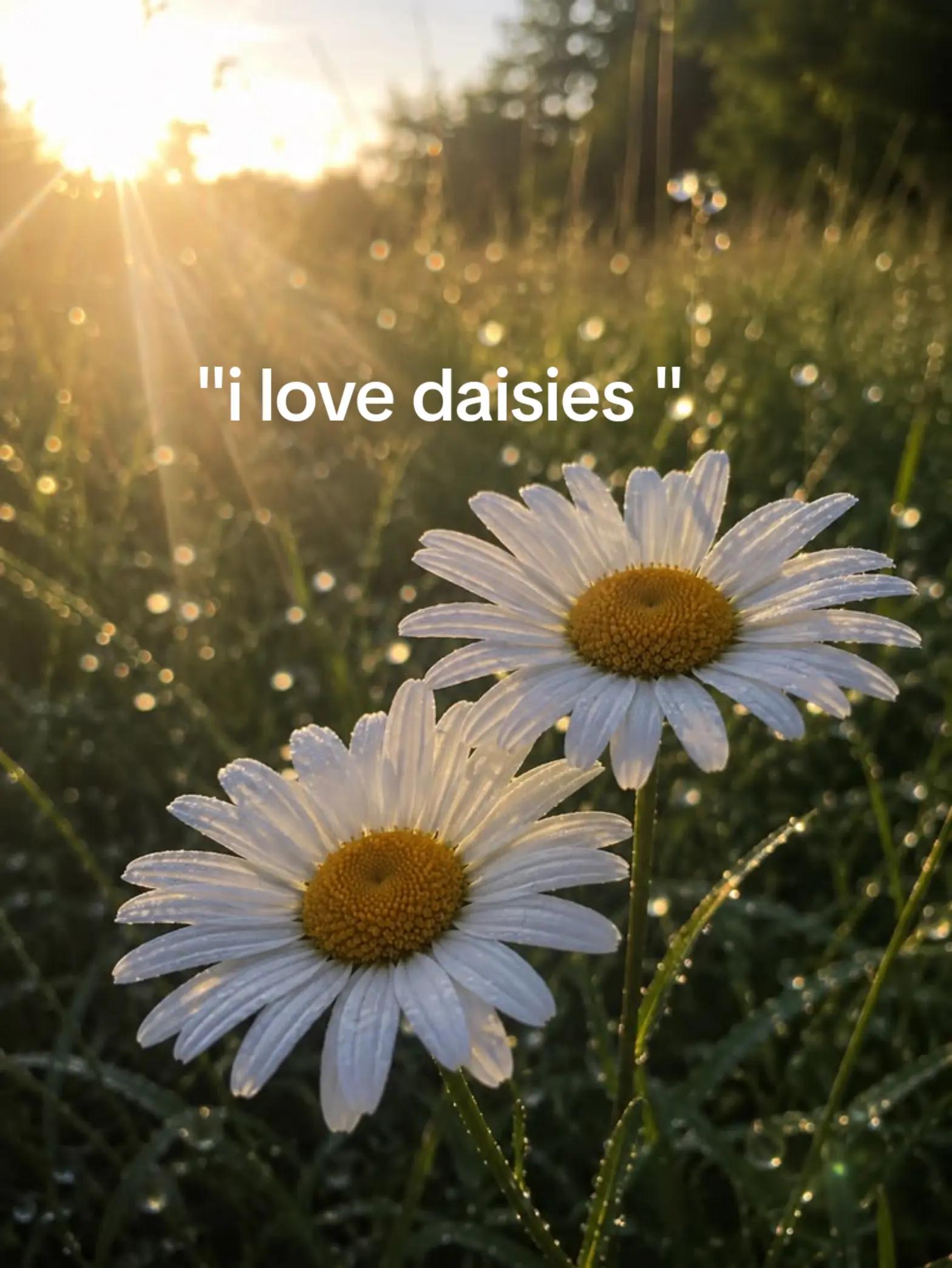 @Lillie_spam