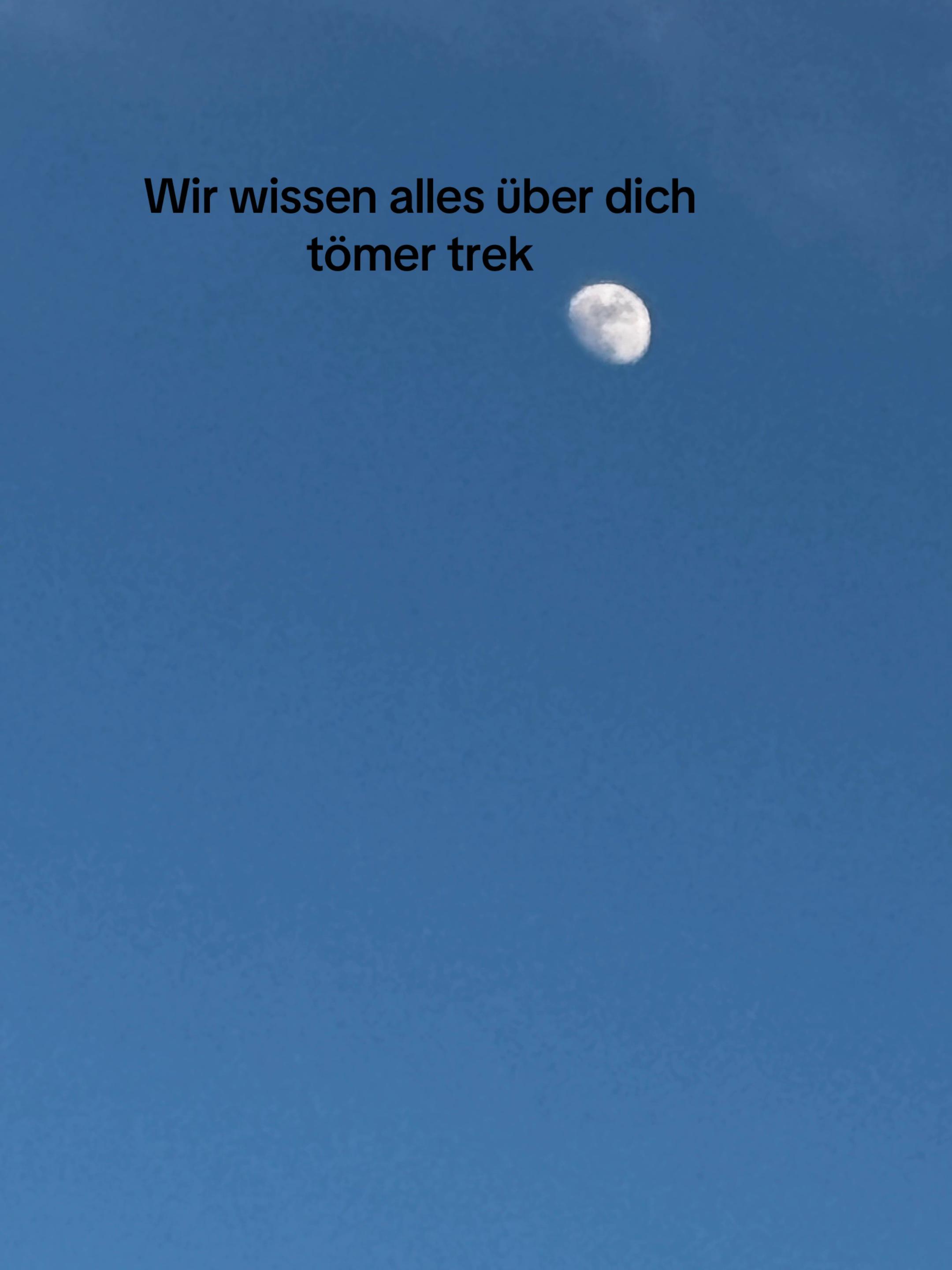@Töma_trek_hater