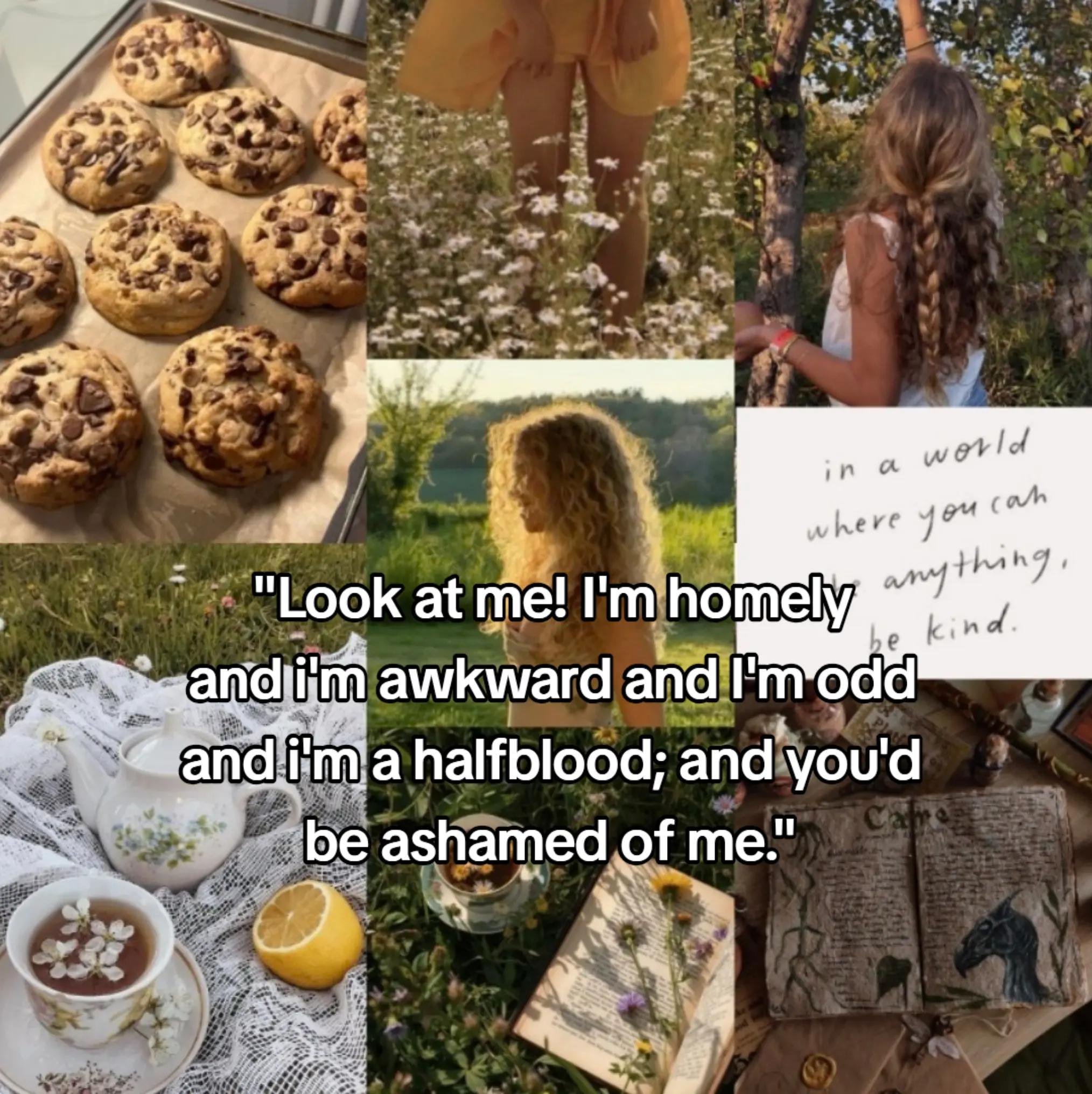@Robinyourshopin