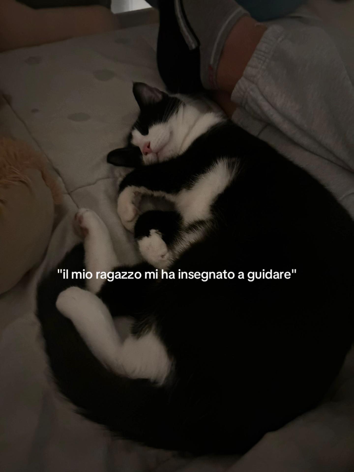 @vivi 🕷️