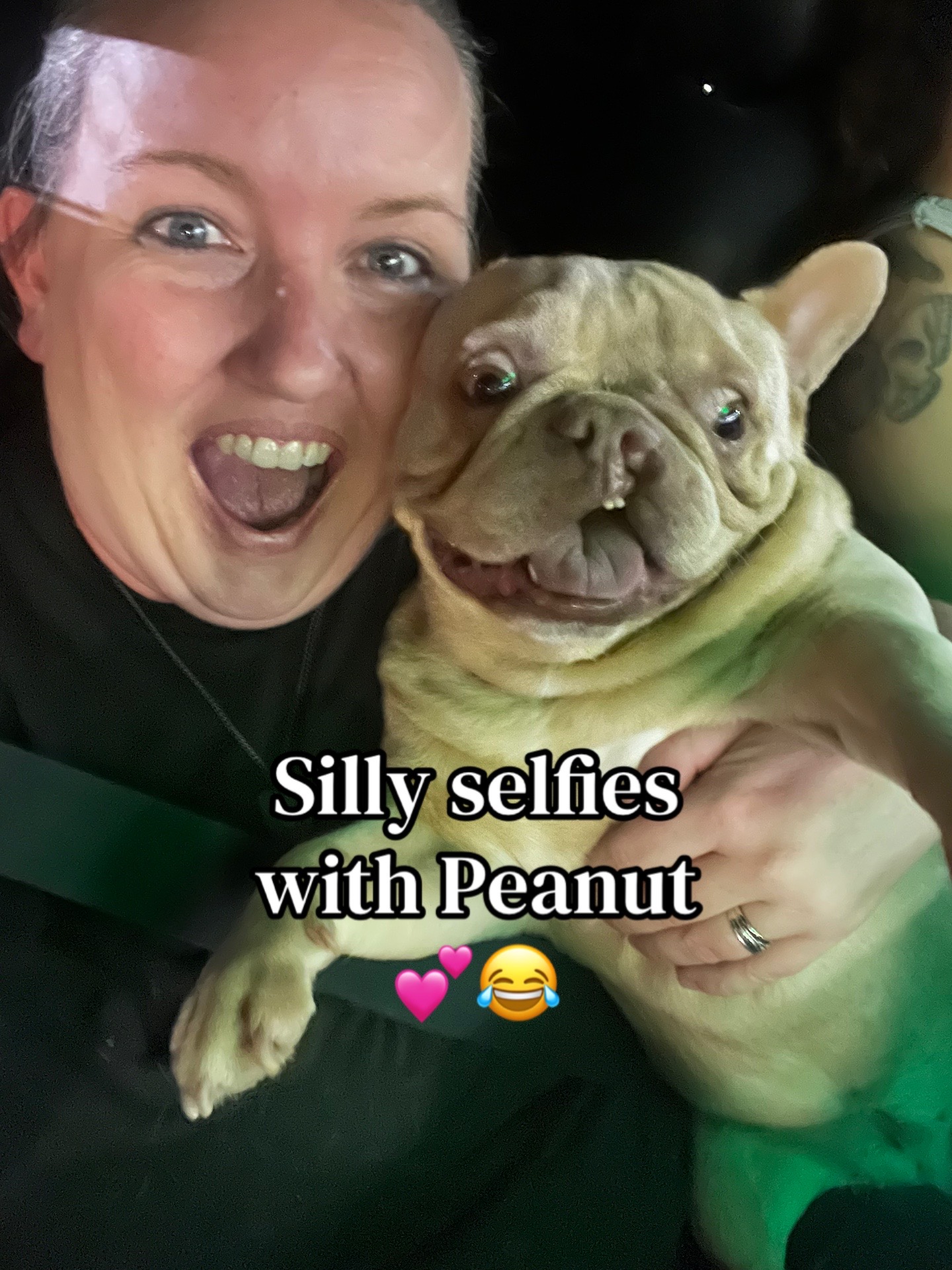 @Peanut the Frenchie 🐾