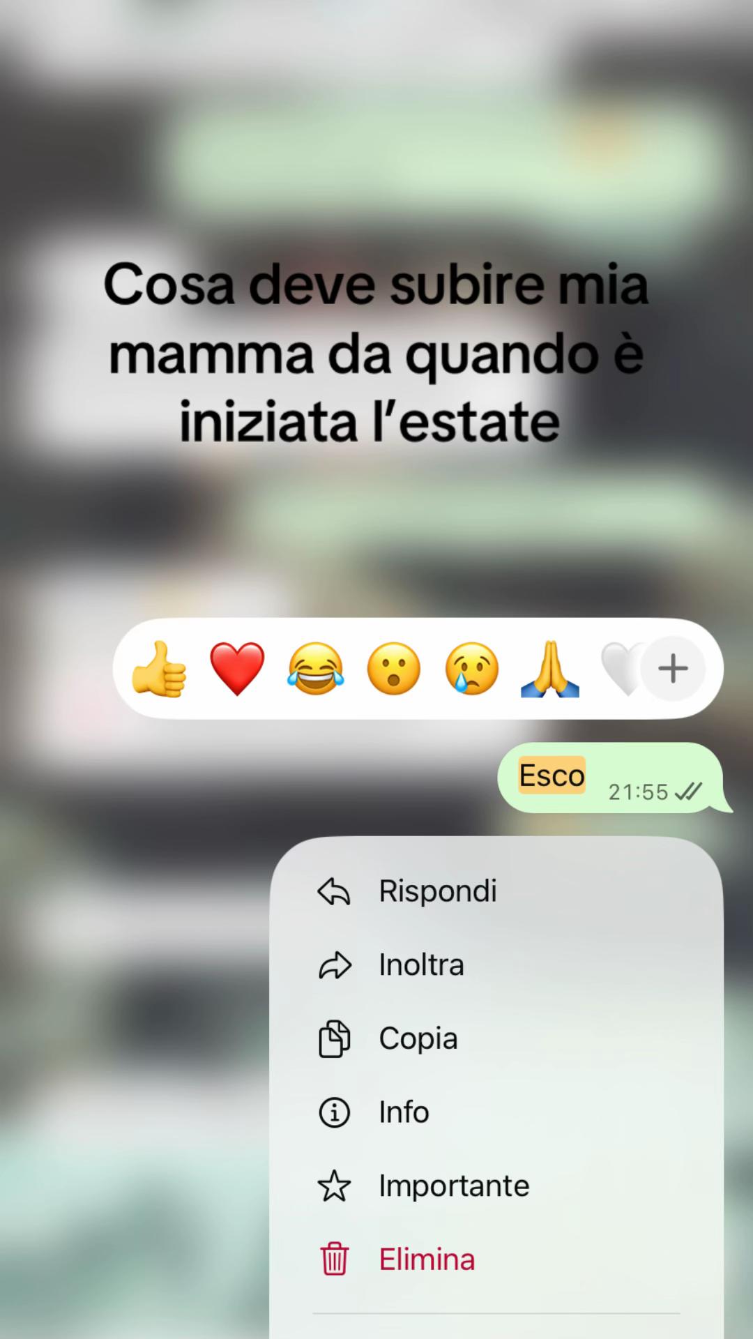 @Taranté🩵