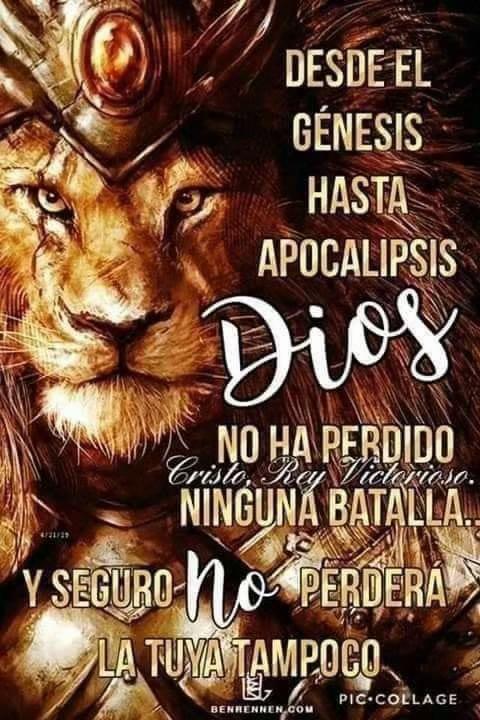 @Luzdedios8888