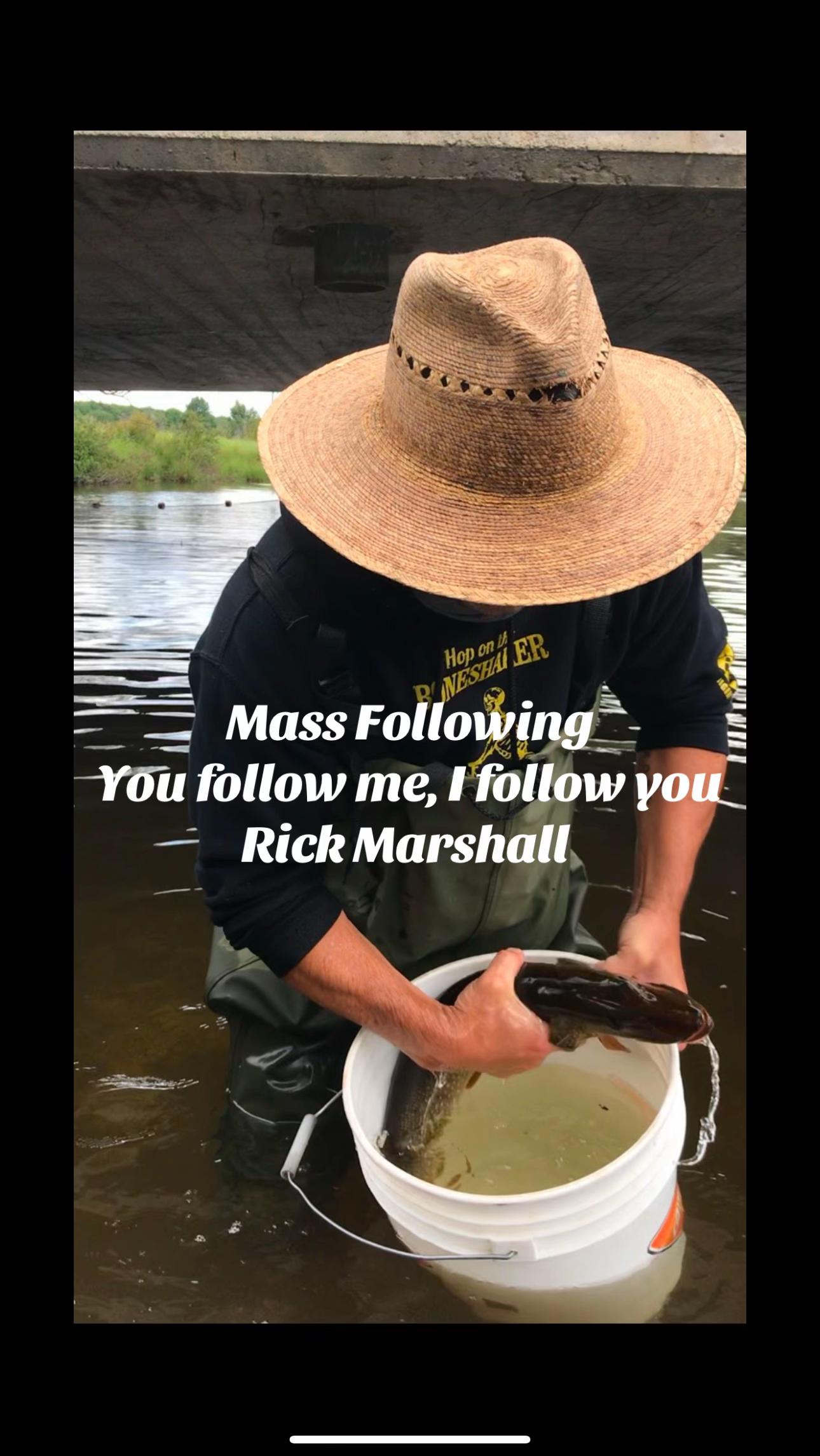 @Rick Marshall