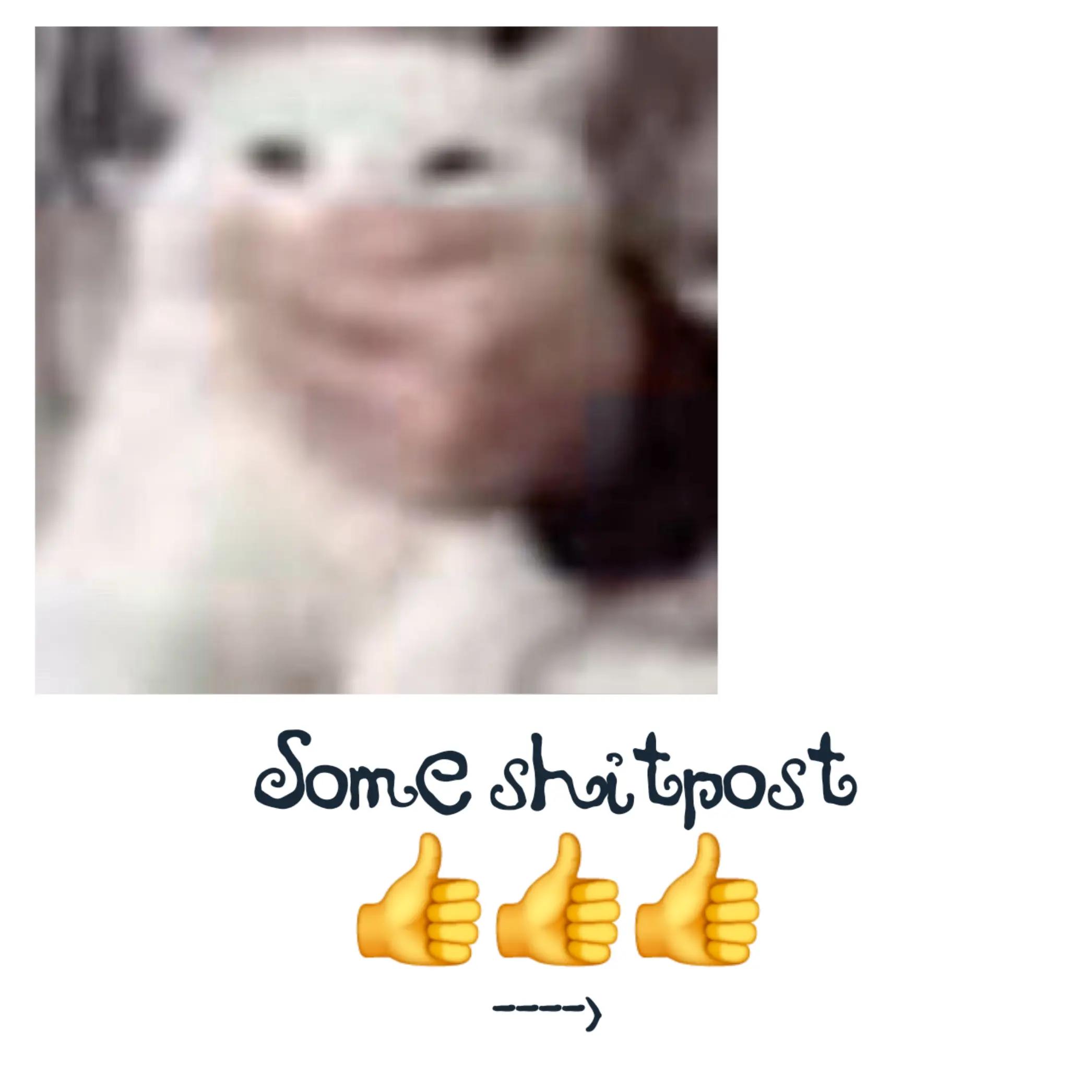 @՞ .✶⋆.˚ 𝙲𝙰𝚁𝚁𝙸𝙴. !