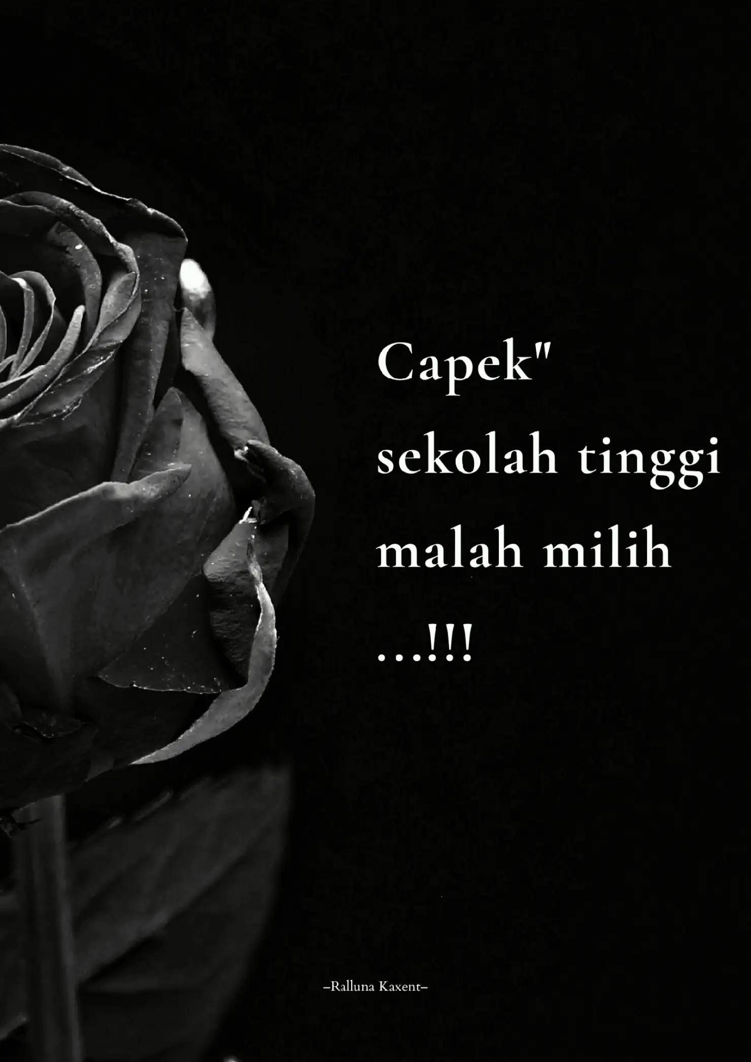@Tinta Iblis Berpena Sutra