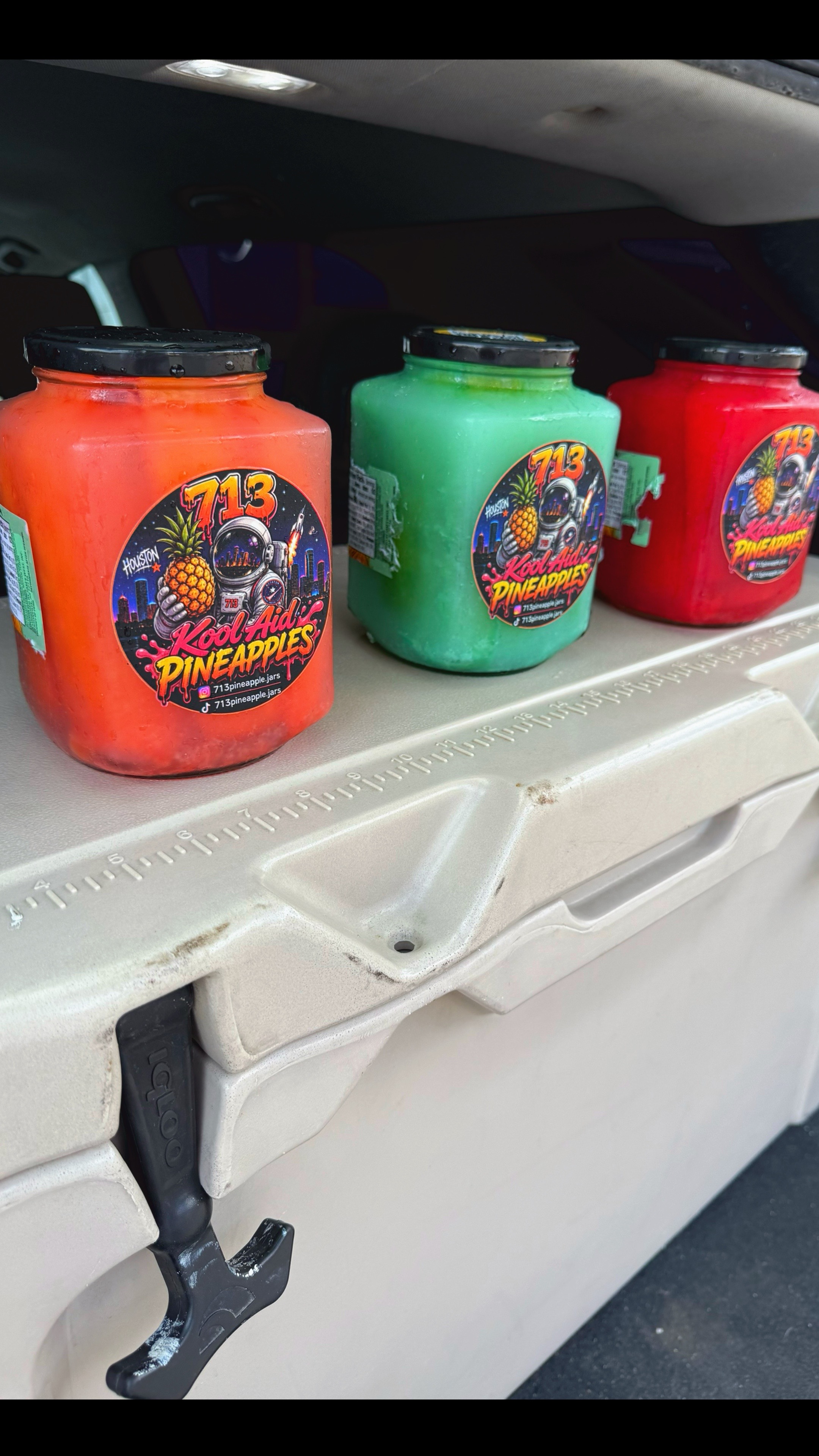 @713 Kool Aid Pineapples
